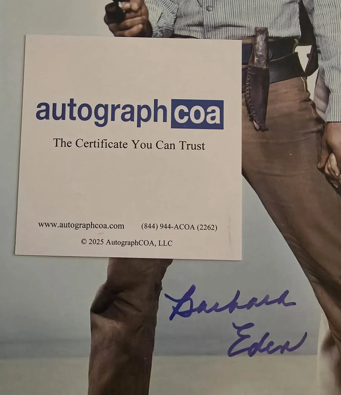 Barbara Eden — BARBARA EDEN AUTOGRAPHED SIGNED FLAMING STAR ELVIS 8x10 PHOTO AUTOGRAPH COA, image 2