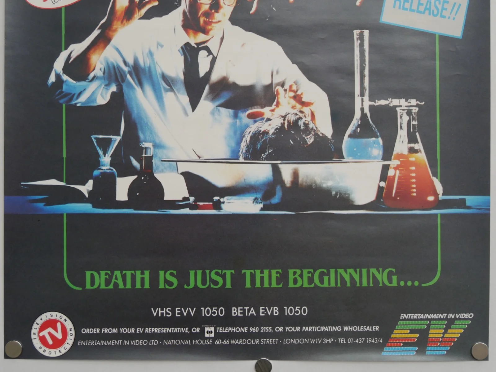 re animator (MINT AND ROLLED) uk vhs video shop film poster - barbara crampton, изображение 3