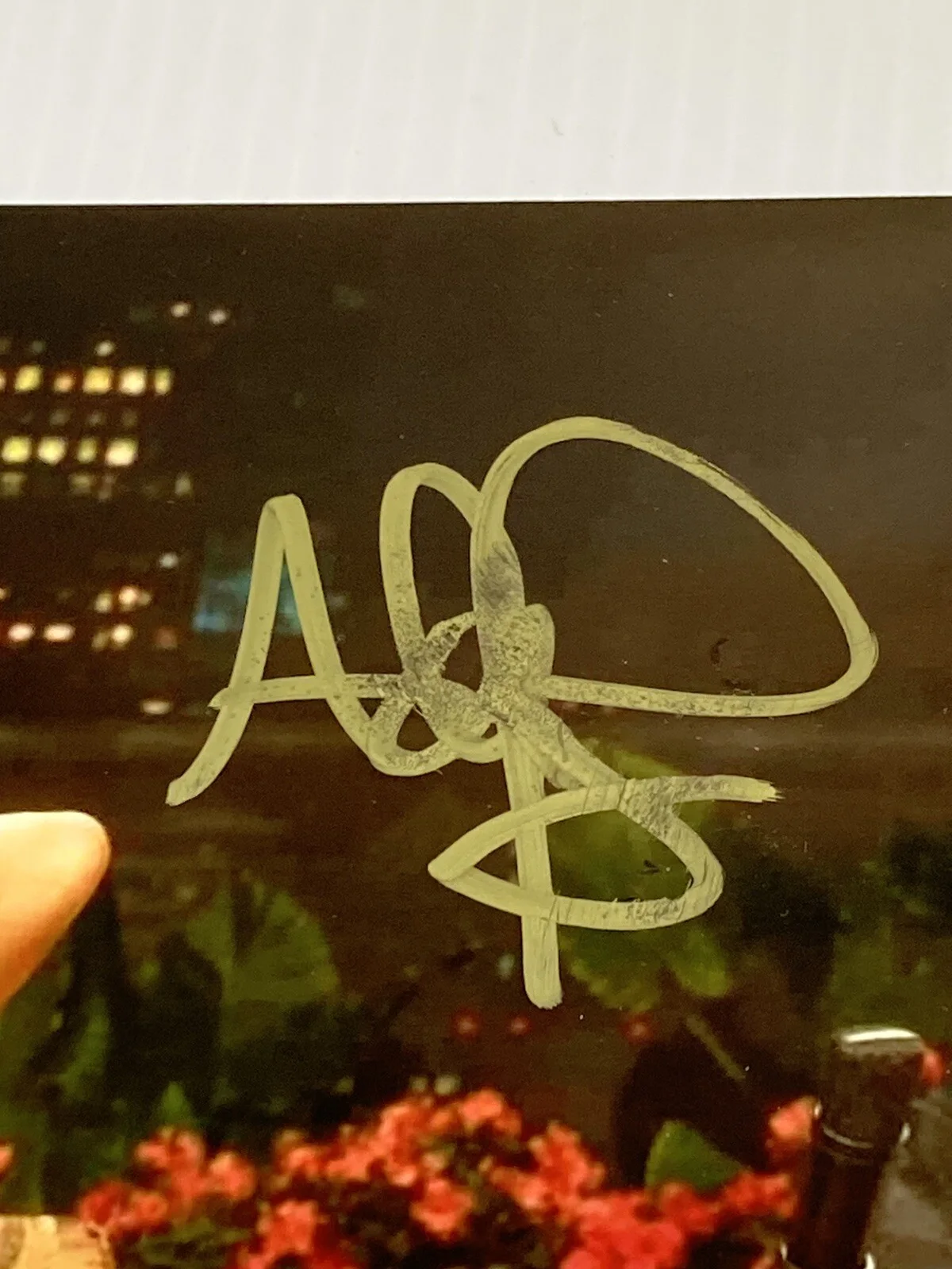 Adam Ray — Adam Ray Signed Pam & Tommy Jay Leno 8x10 Photo Autographed, изображение 2