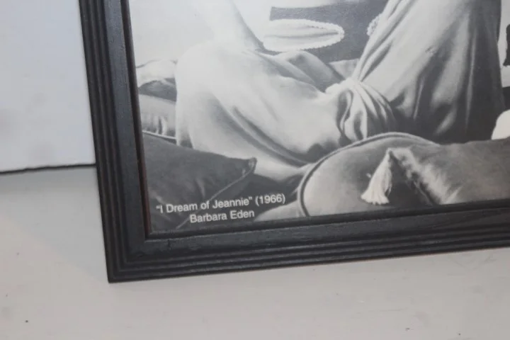 Barbara Eden signed Show 8x10 1966 photo I Dream of Jeanie Pheasant run resort, изображение 3