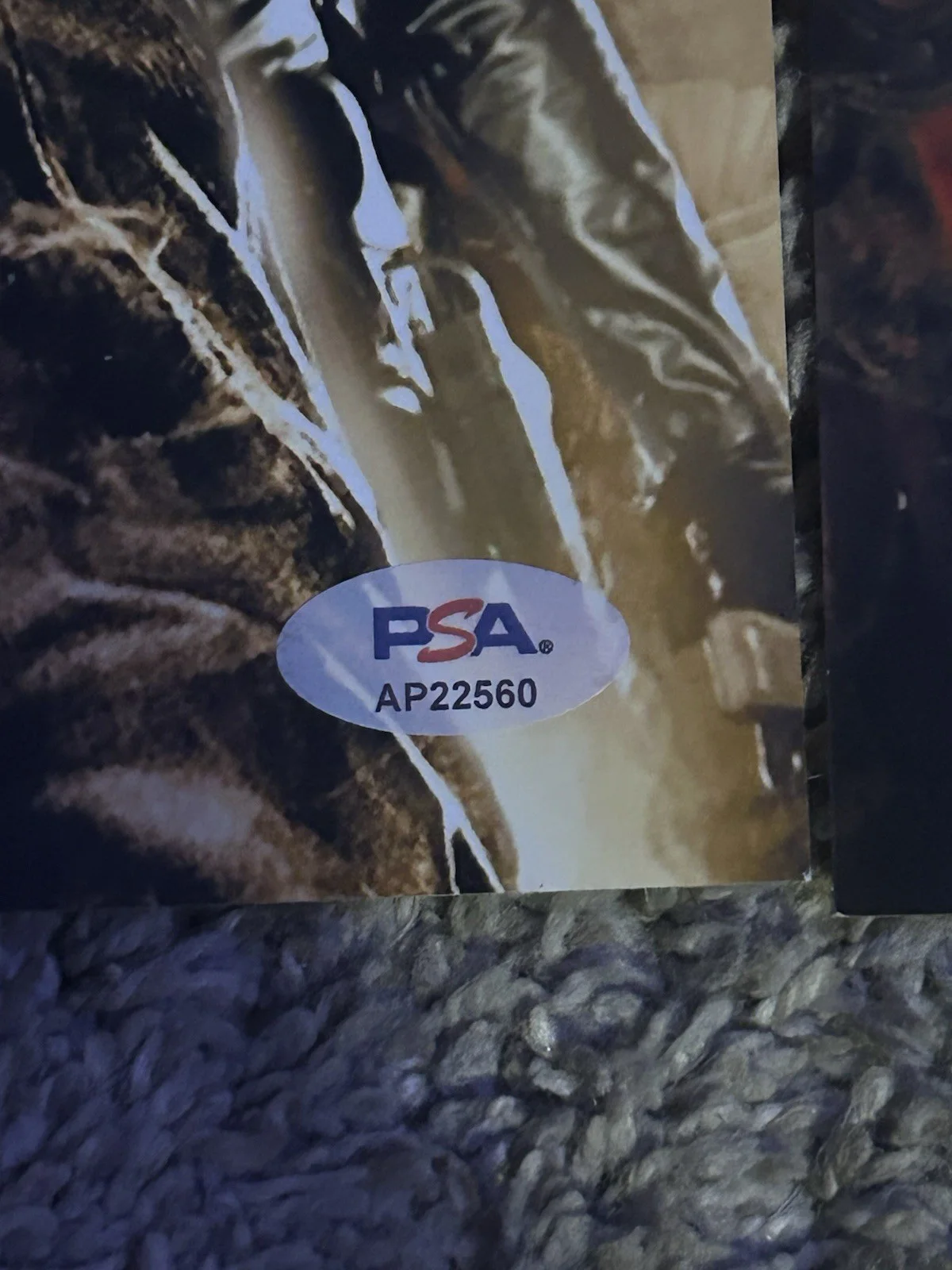 Ron Perlman Selma Blair — Ron Perlman Selma Blair Signed Hellboy 11x14 Photo PSA Authenticated, image 3