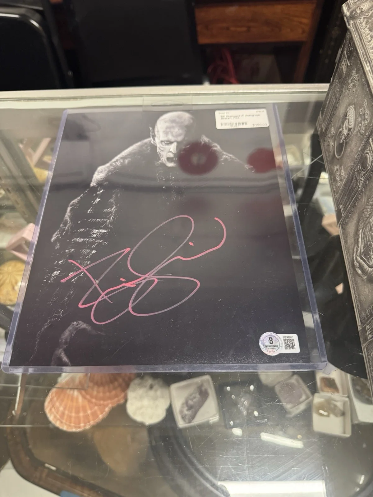 Bill Skarsgard — Bill Skarsgard Signed 8x10" NOSFERATU: Authentic Original Autograph w/COA
