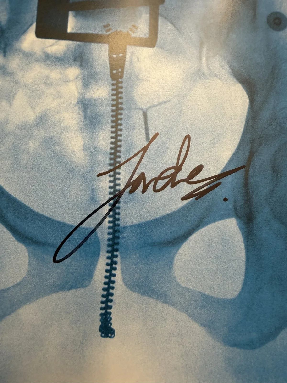 SIGNED Lorde Virgin Art Card Photograph Vinyl LP Autograph SP26099, image 2