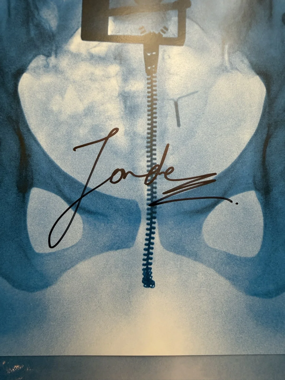 Lorde Virgin SIGNED Vinyl LP Art Card Photo COA SP26100, image 2