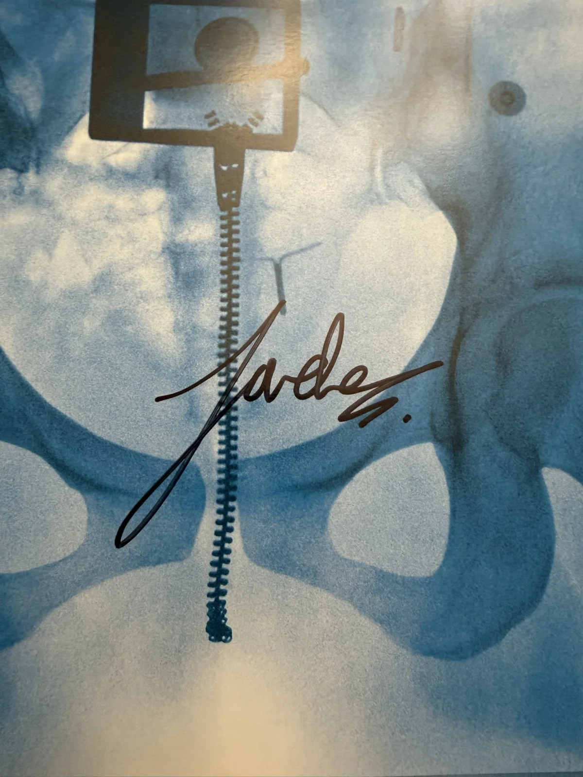 SIGNED Lorde Virgin Vinyl LP Art Card Photo Autograph COA SP26101, image 2