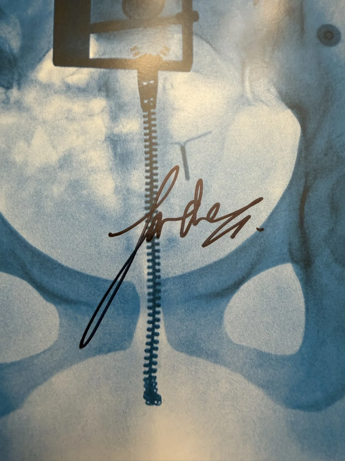 SIGNED Lorde Virgin Art Card Photo & Vinyl LP Autograph COA SP26103, изображение 2