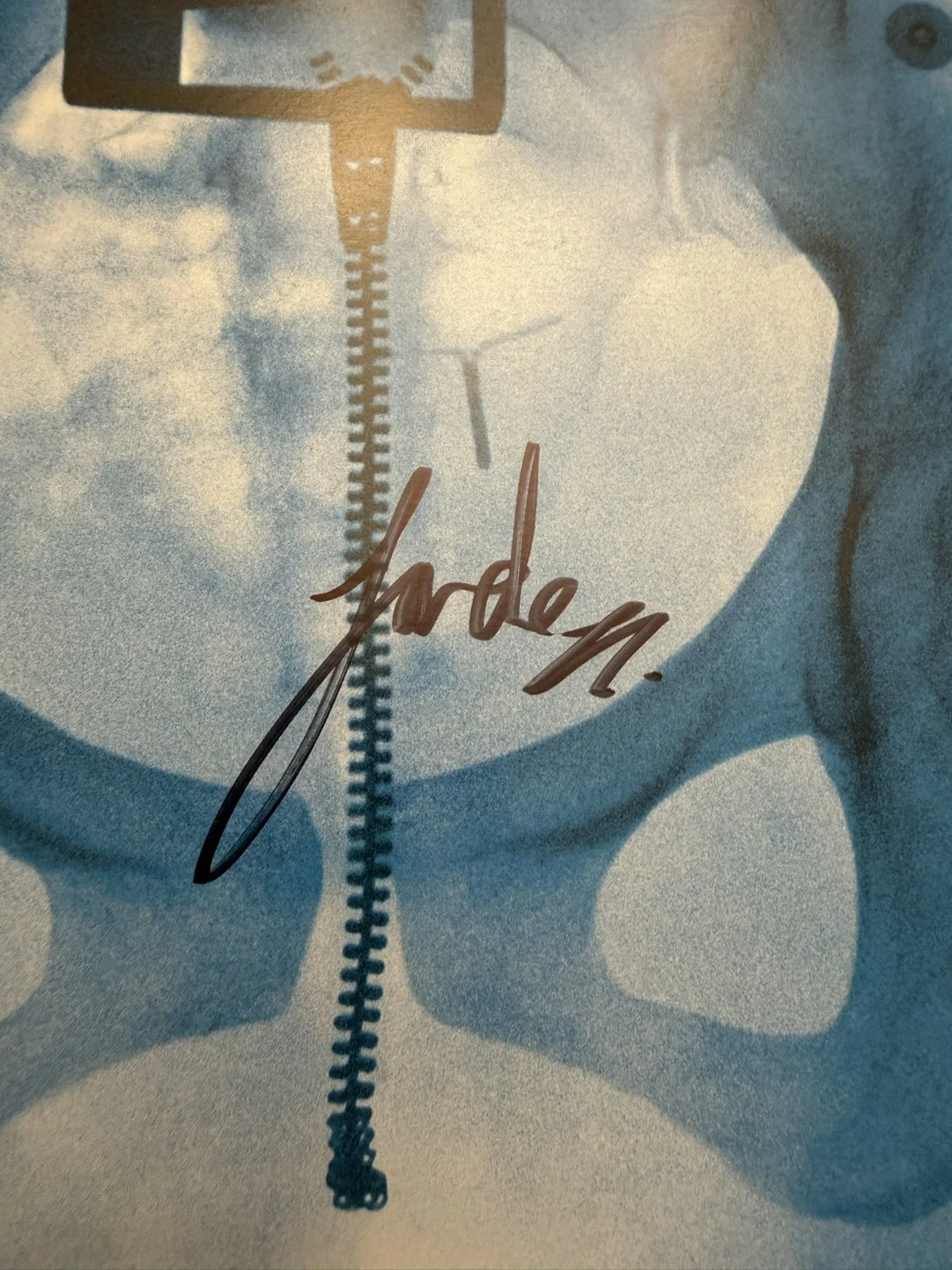 Lorde SIGNED Virgin Art Card Vinyl LP Photograph COA SP26102, изображение 2
