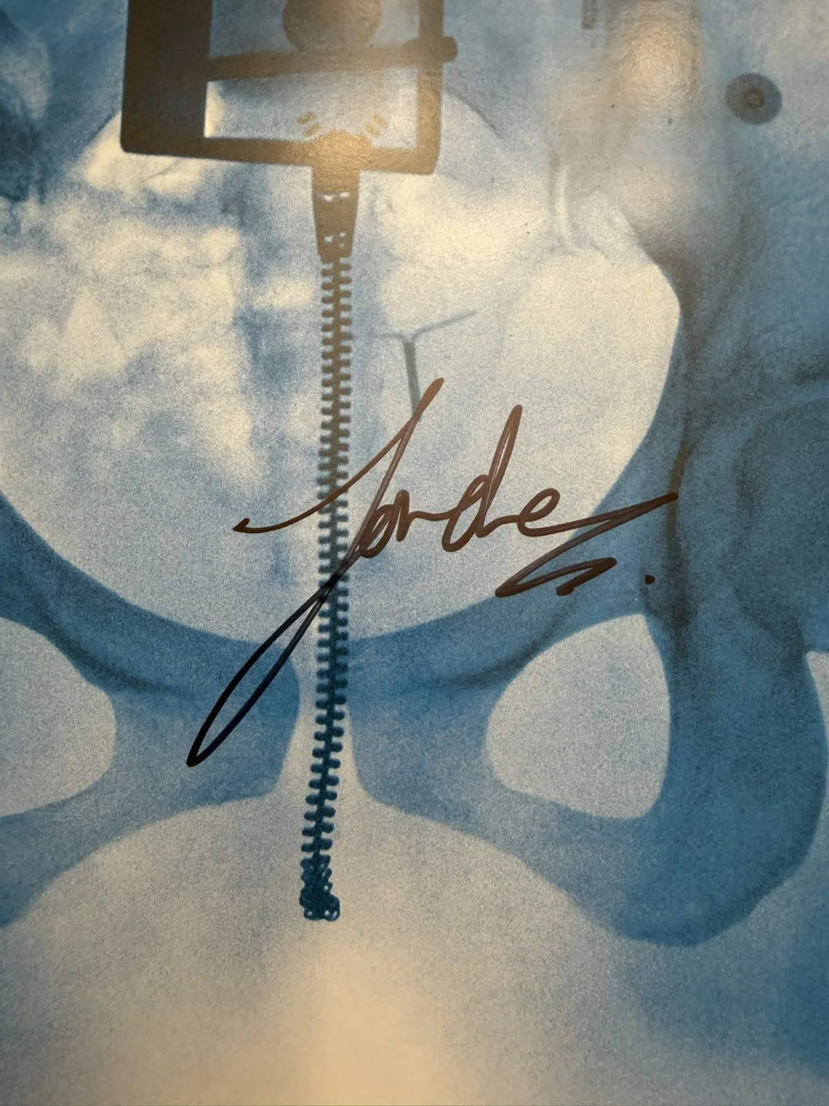 SIGNED Lorde Virgin Art Card Photograph Vinyl LP COA Certified SP26105, изображение 2