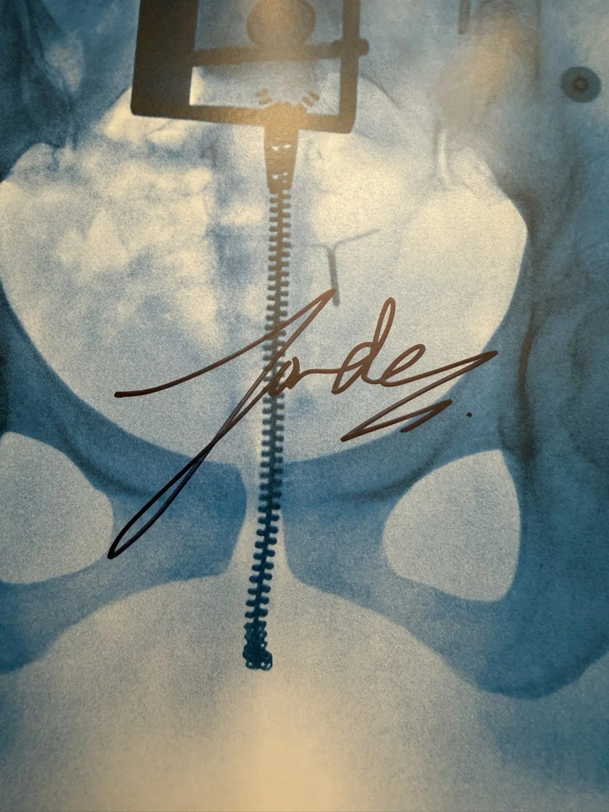 Lorde Virgin SIGNED Vinyl LP Art Card Photograph COA SP26104, image 2
