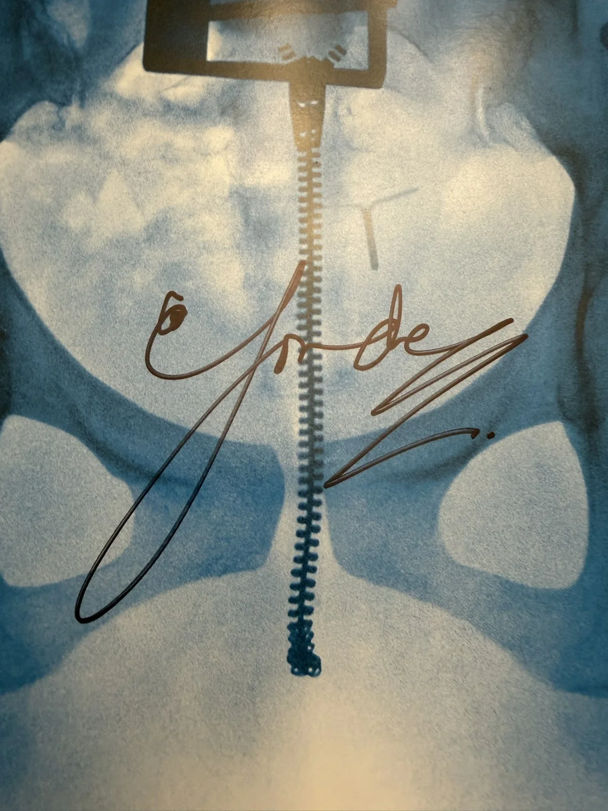 Lorde SIGNED Virgin Vinyl LP Art Card Photo Autograph SP26106, image 2