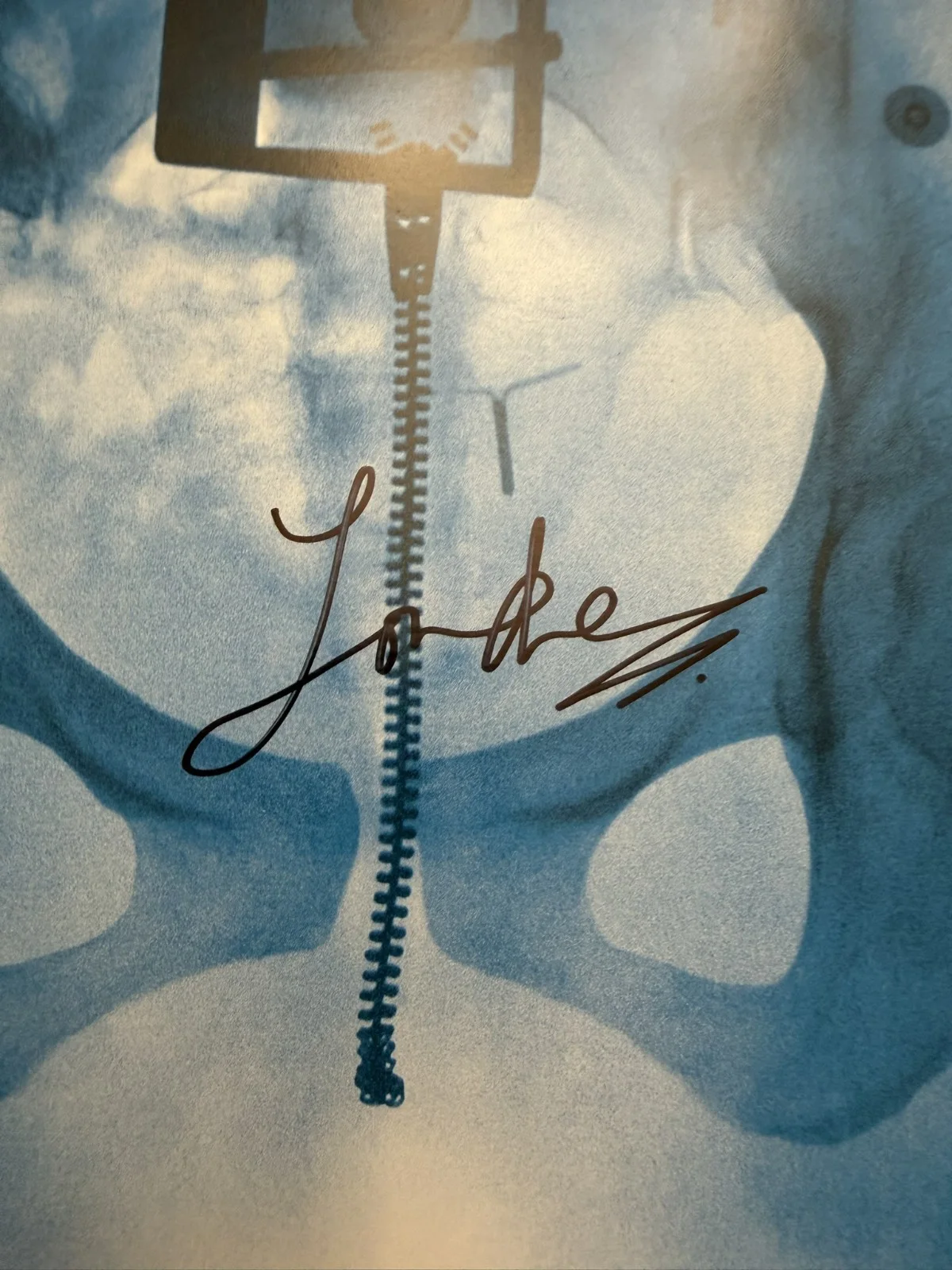 Lorde Virgin SIGNED Vinyl LP Art Card Photograph Autograph COA SP26092, изображение 2