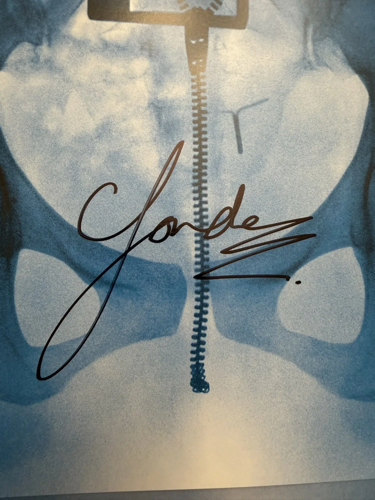 SIGNED Lorde Virgin Vinyl LP Photograph Art Card COA SP26088, image 2
