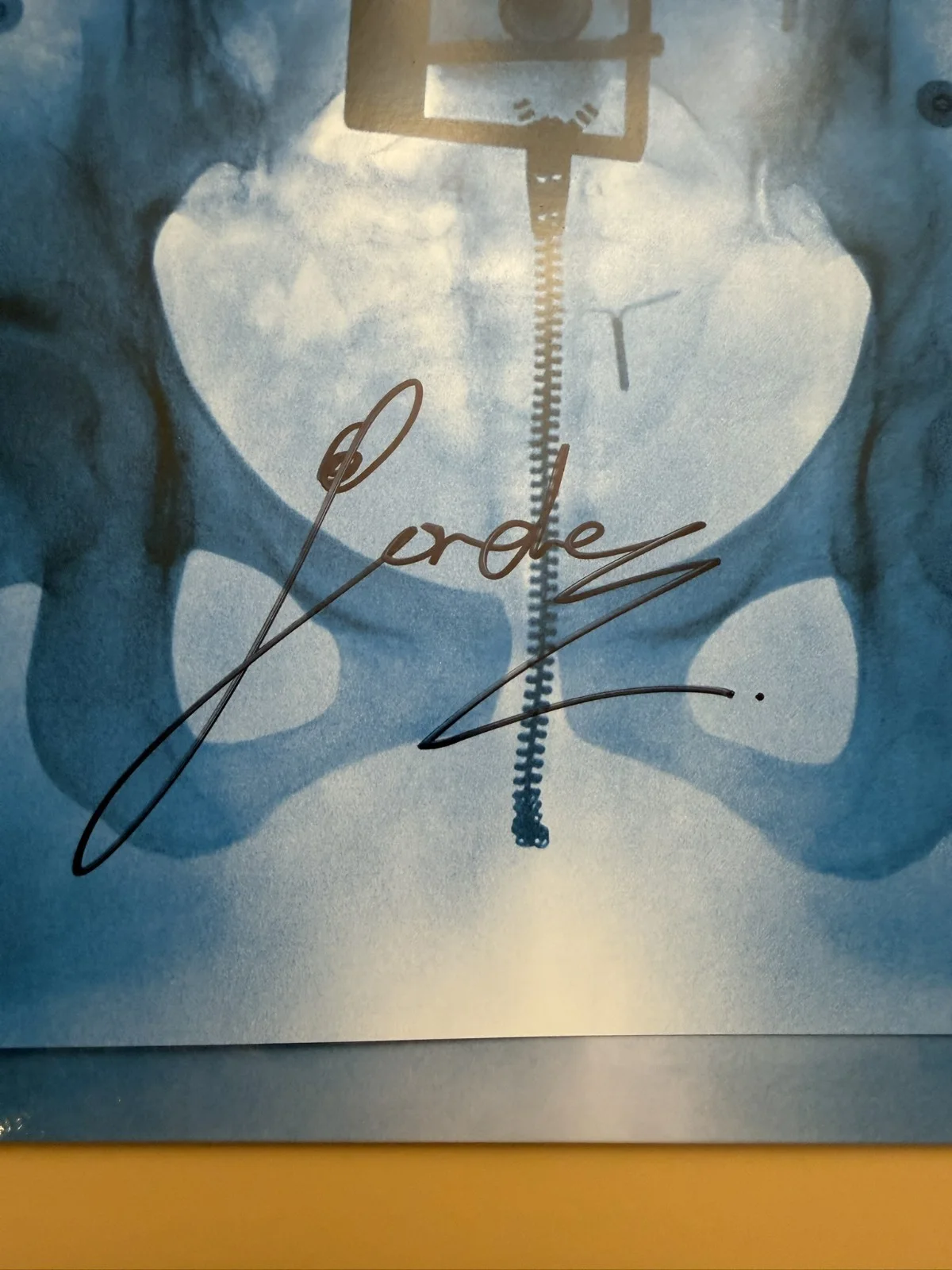 SIGNED Lorde Virgin Art Card Photo & Vinyl LP COA SP26090, изображение 2