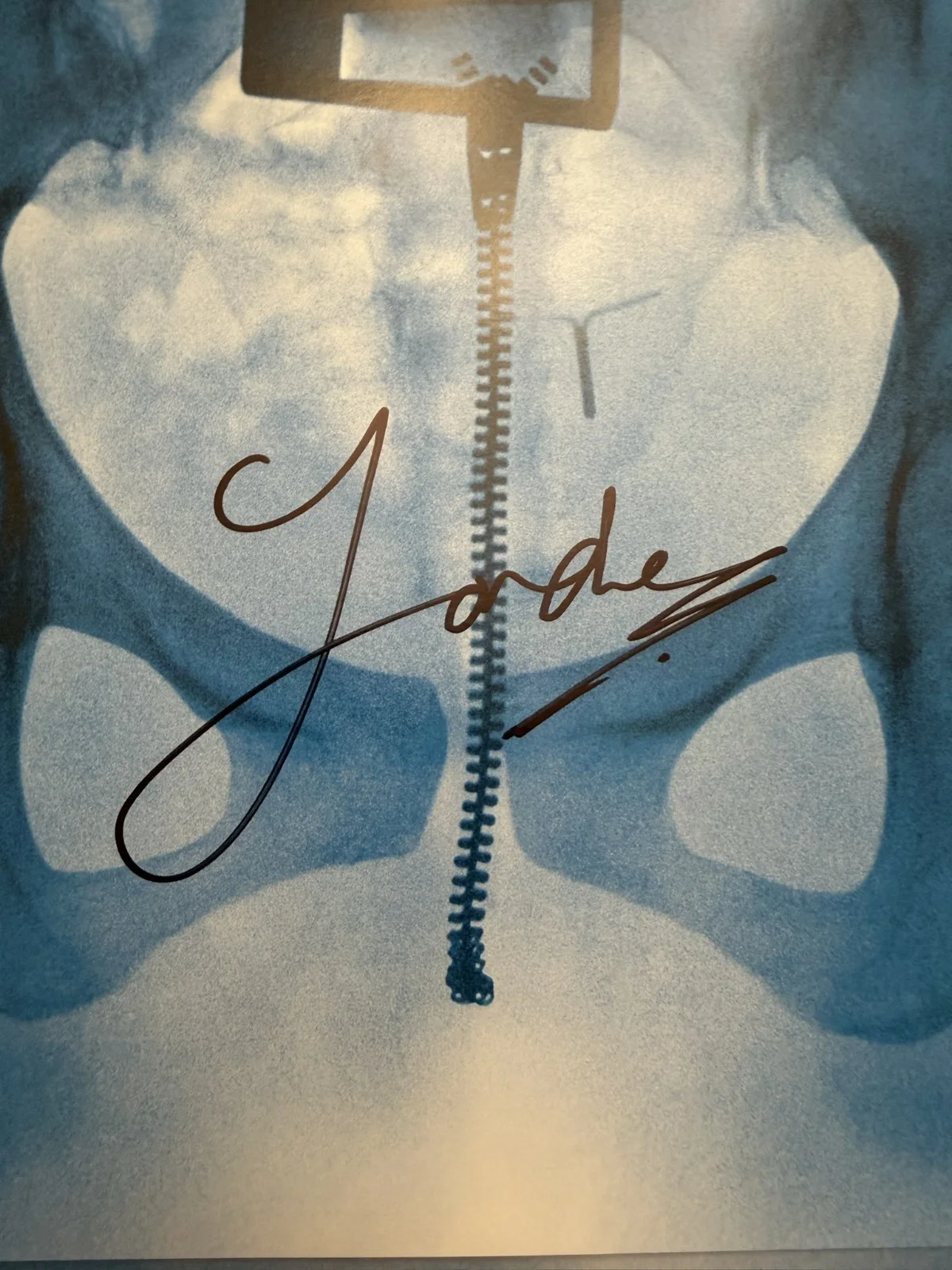 SIGNED Lorde Virgin Art Card Vinyl LP Photo Autograph SP26095, изображение 2