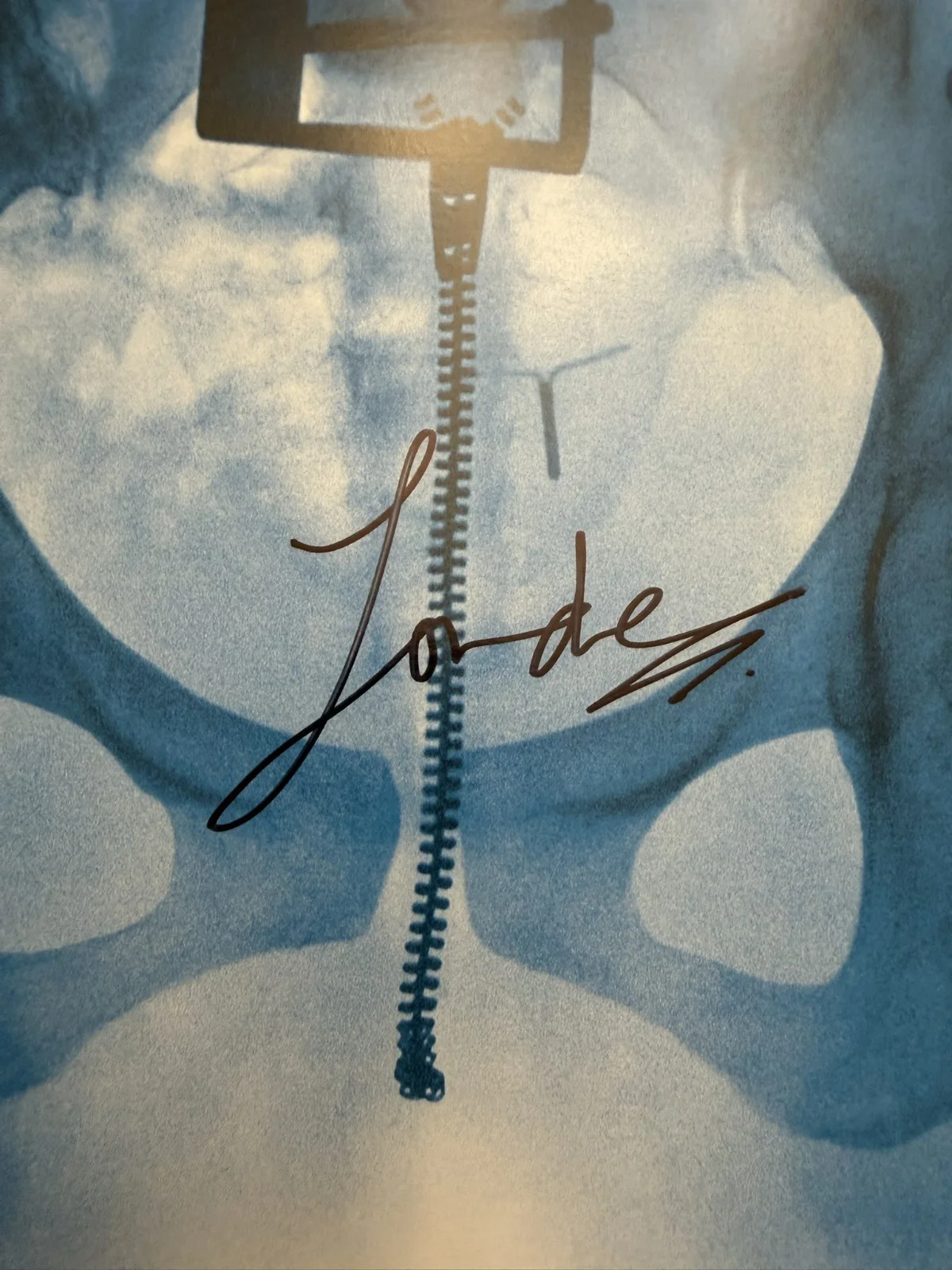 SIGNED Lorde Virgin Vinyl LP Art Card Photo COA SP26093, image 2