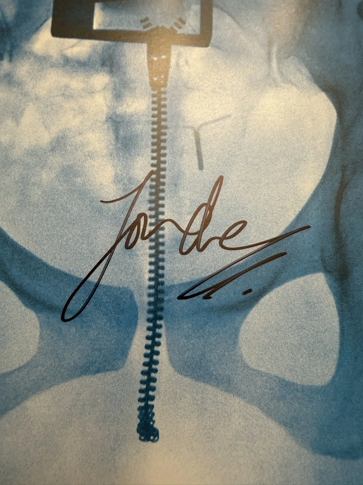 SIGNED Lorde Virgin Vinyl LP Art Card Photograph Autograph SP26097, изображение 2