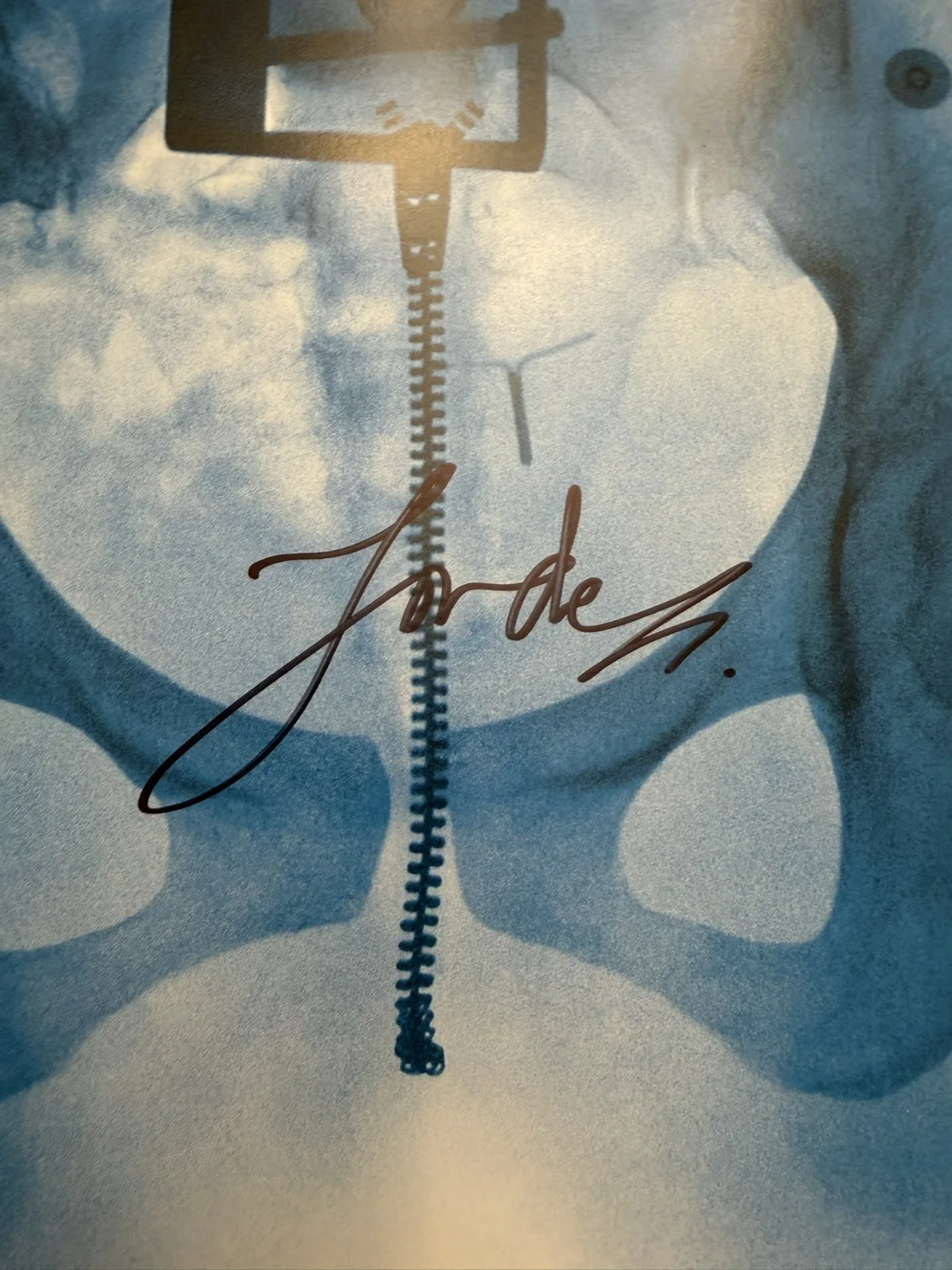 Lorde Virgin SIGNED Art Card Photograph Vinyl LP COA SP26096, изображение 2