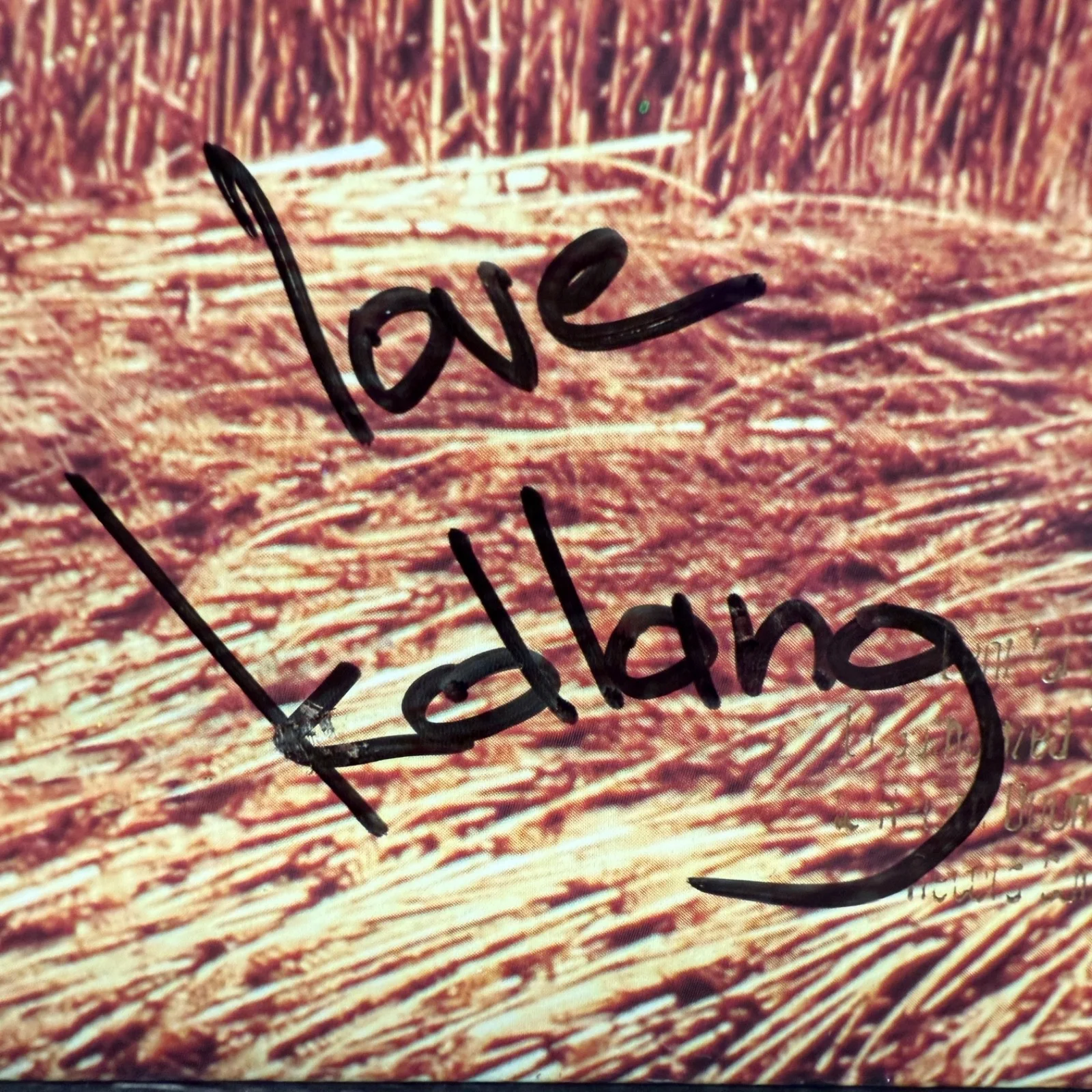 K.D. LANG "Absolute Torch And Twang" AUTOGRAPHED USA vinyl album SIRE 1-25877 NM, изображение 2