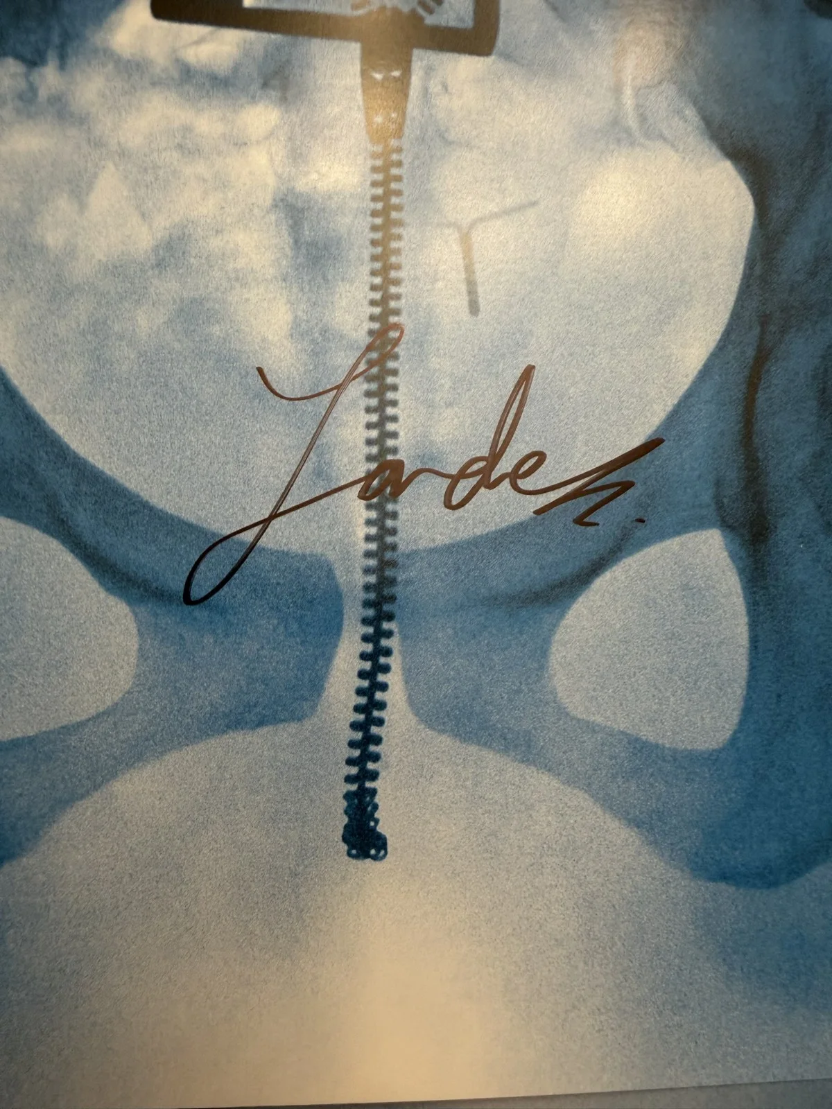 SIGNED Lorde Virgin Art Card Photo Vinyl LP COA SP26079, image 2