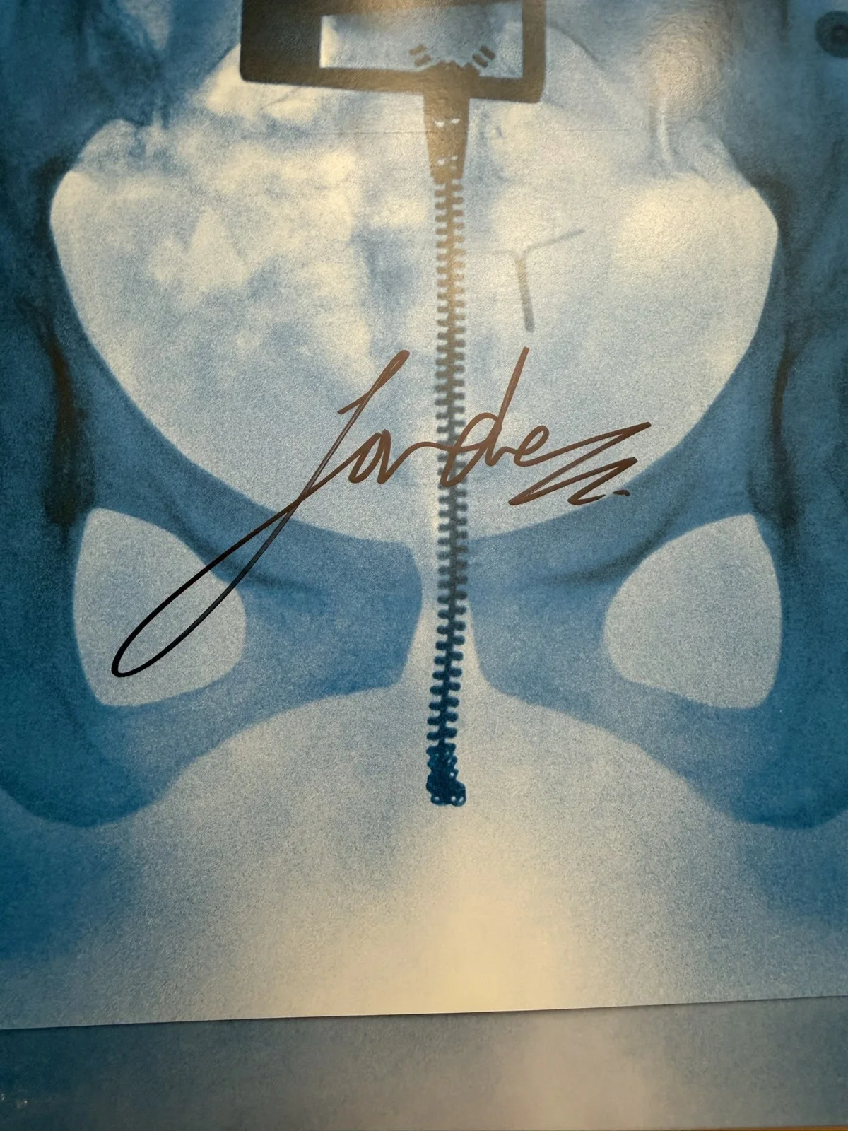 SIGNED Lorde Virgin Vinyl LP Art Card Photo Autograph COA SP26082, изображение 2