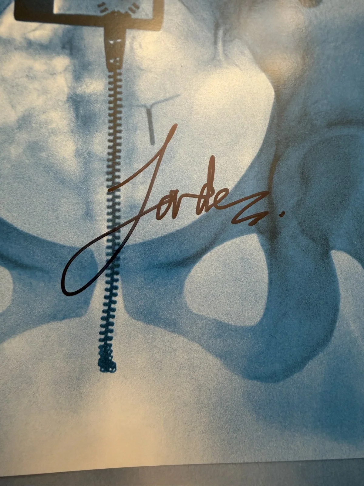 Lorde Virgin SIGNED Art Card Photo Vinyl LP COA Autograph SP26083, изображение 2
