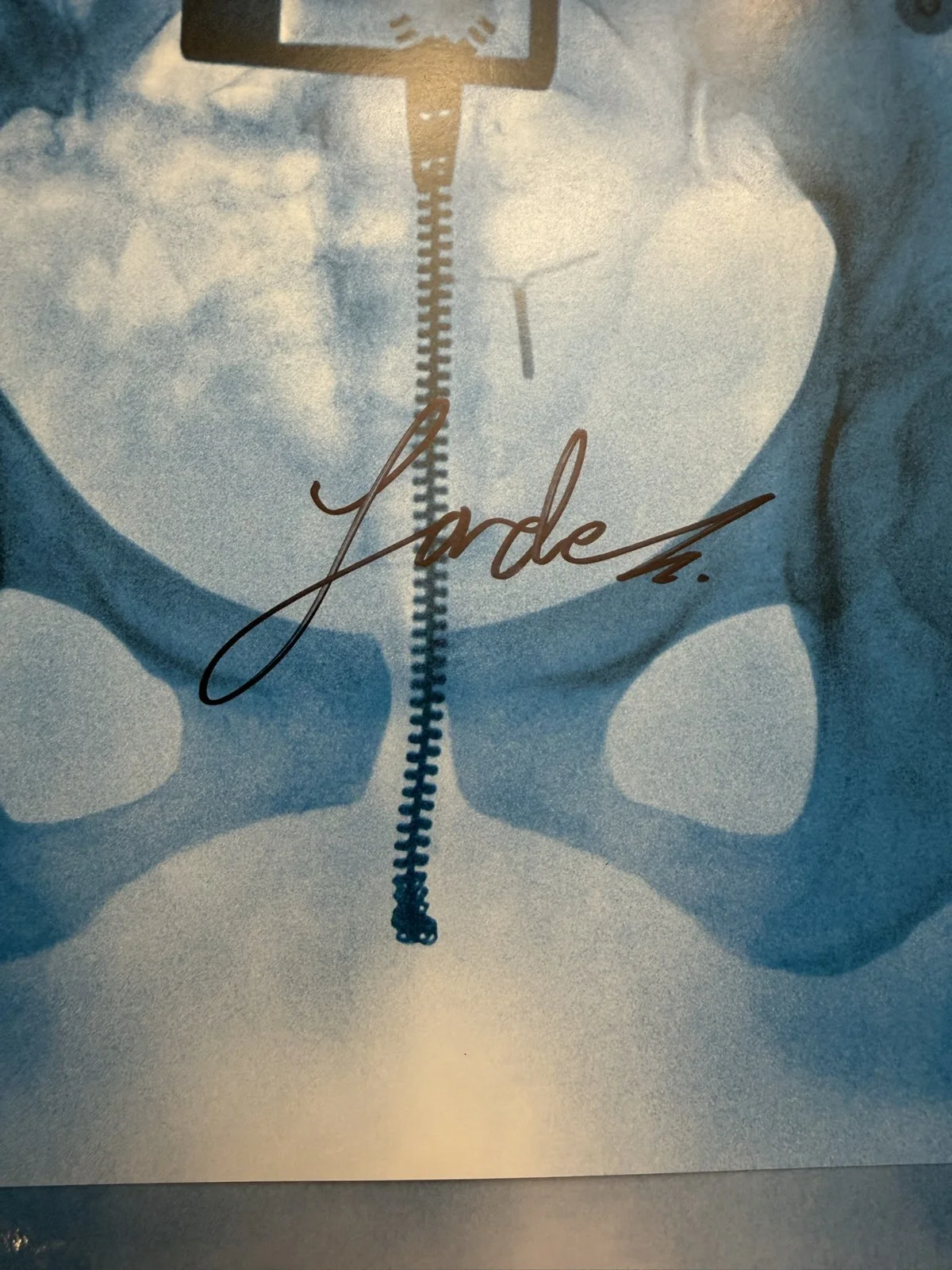 Lorde SIGNED Virgin Vinyl LP Art Card Autograph COA SP26080, image 2