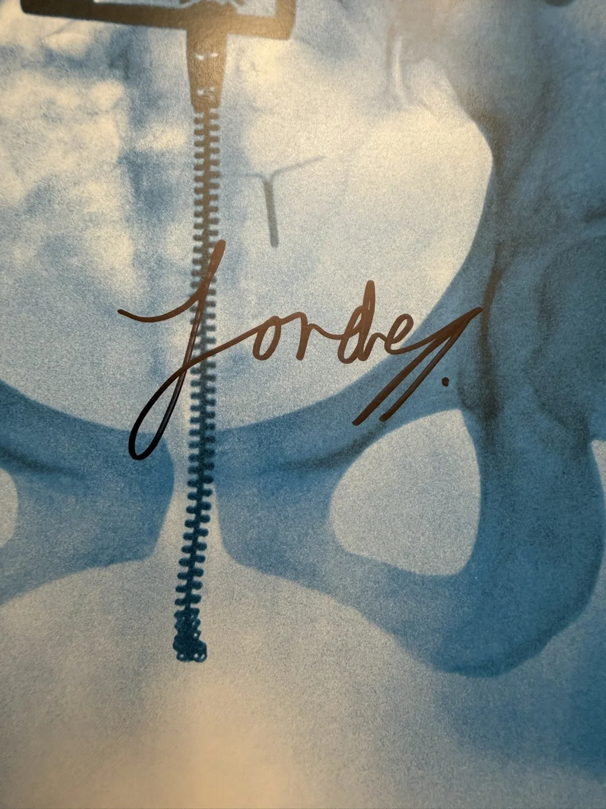 Lorde SIGNED Virgin Vinyl LP Art Card Photograph COA SP26085, image 2