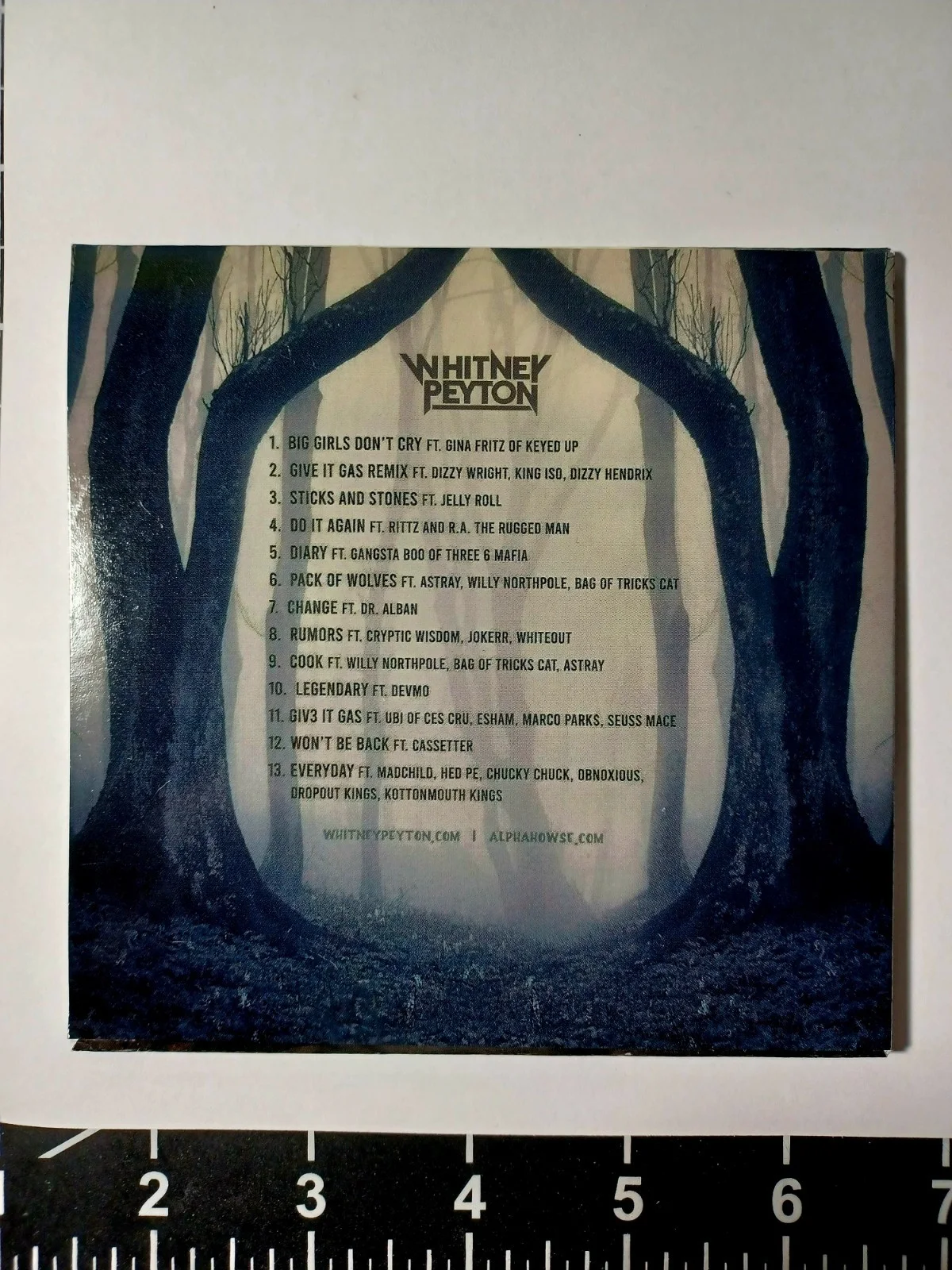 WHITNEY PEYTON FULL HOWSE Album #172/300 Signed CD ALPHA HOWSE JELLY ROLL , KMK, image 5