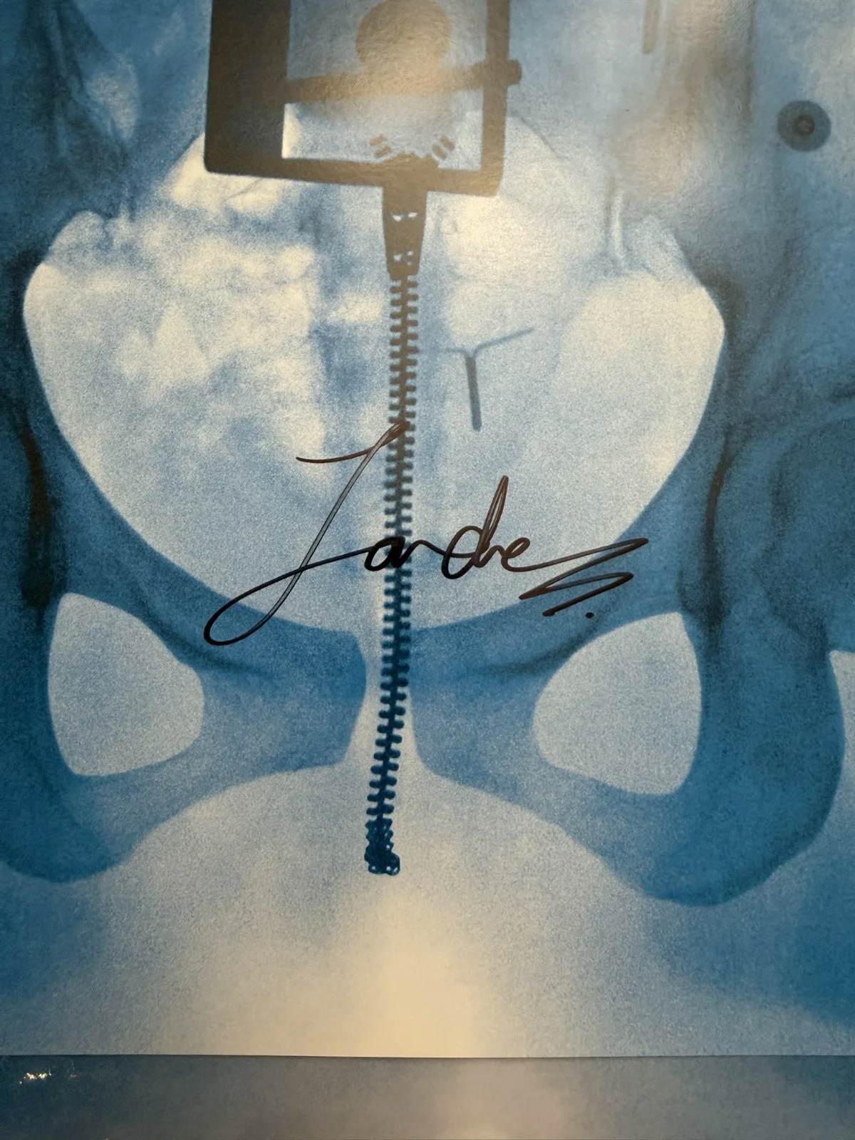 SIGNED Lorde Virgin Art Card Photo Vinyl LP COA Certified SP26077, изображение 2