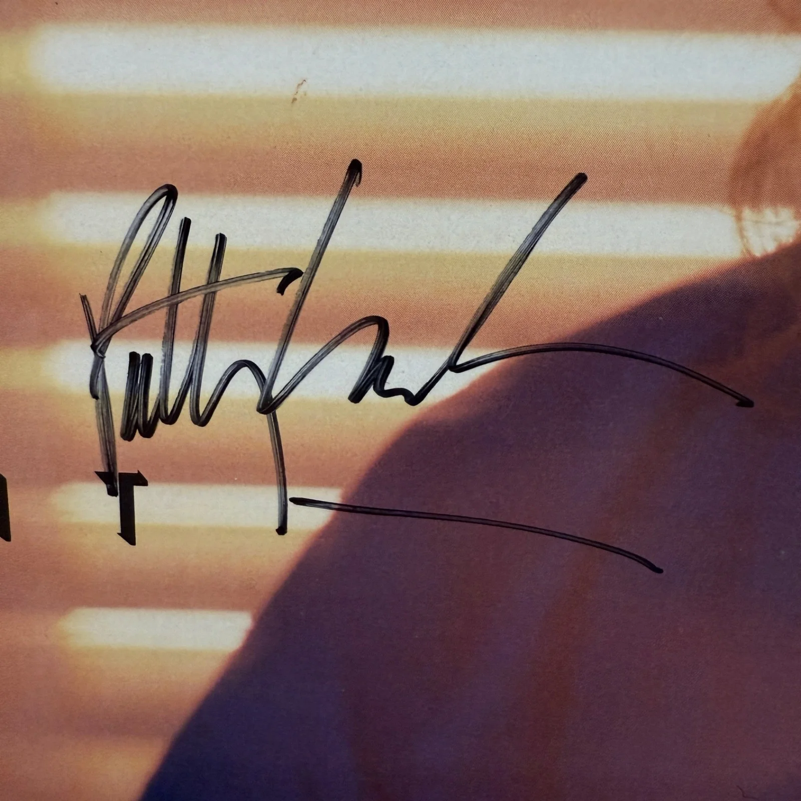 PATTY LARKIN "Step Into The Light" AUTOGRAPHED USA vinyl album PHILO PH 1103 NM, image 2