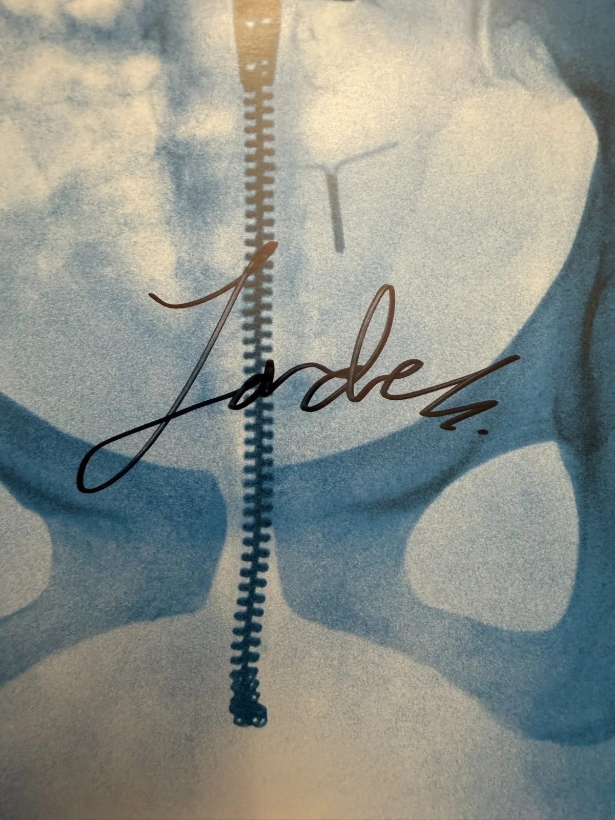 SIGNED Lorde Autographed Virgin Art Card Photo Vinyl LP COA SP26075, image 2