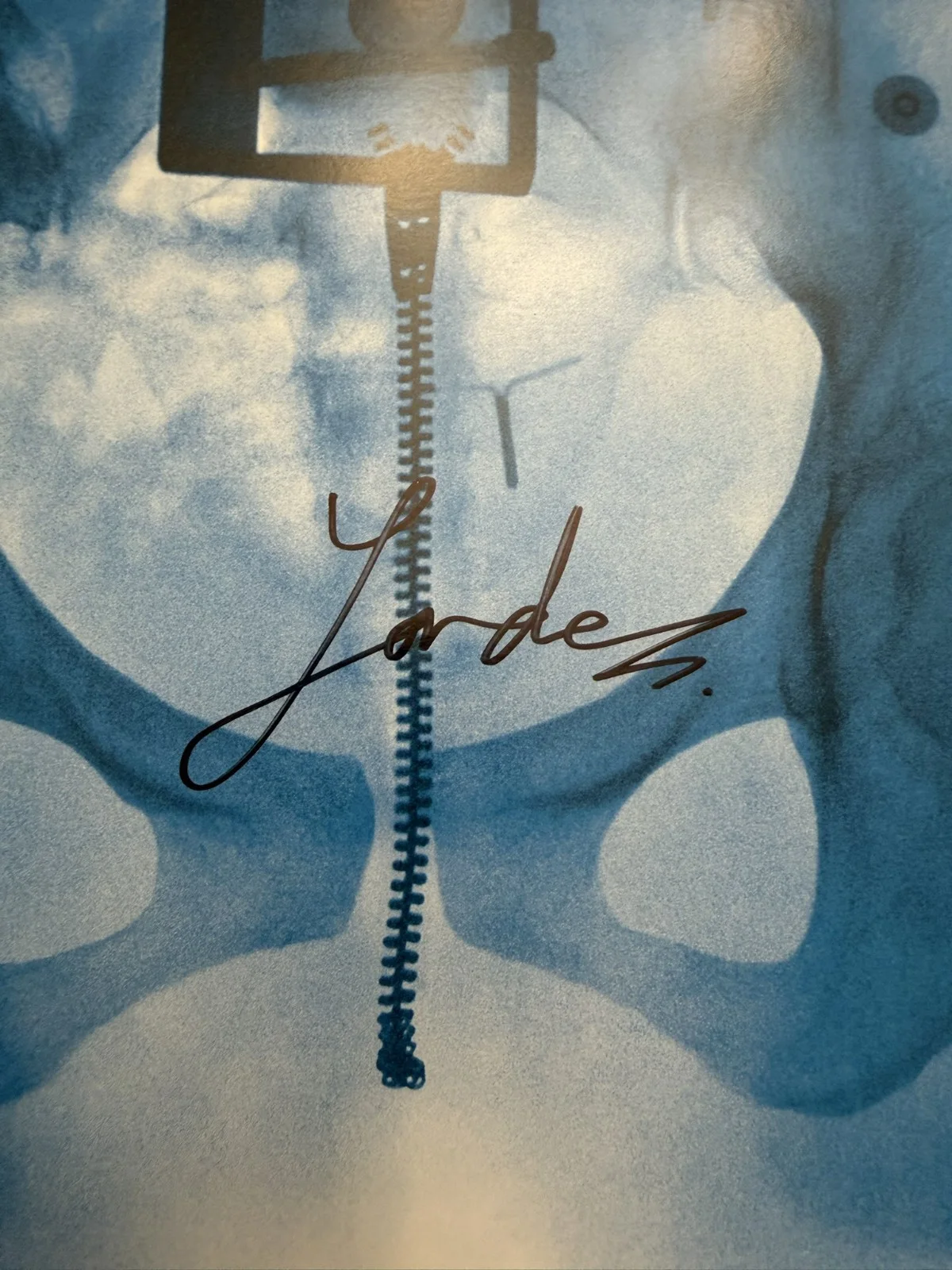 Lorde Virgin SIGNED Art Card Photograph & Vinyl LP Autograph COA SP26076, изображение 2