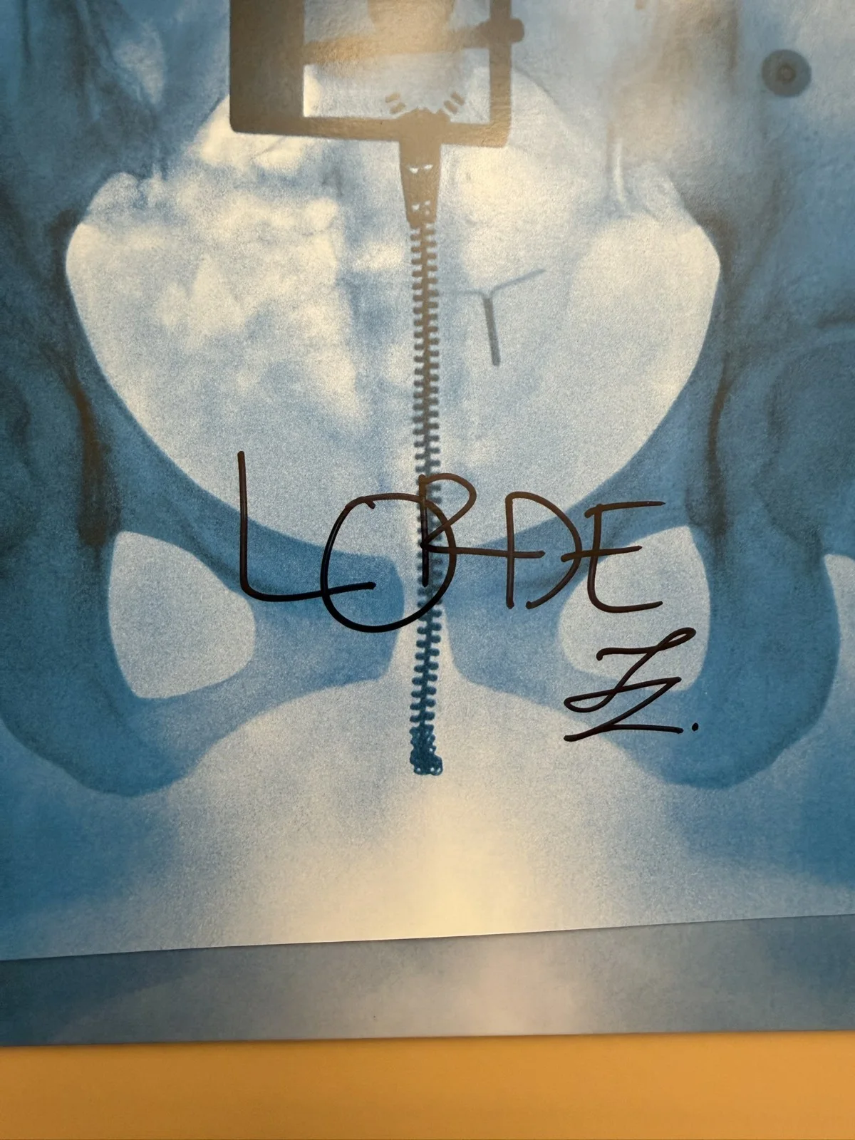 SIGNED Lorde Virgin Art Card Photo Vinyl LP Autograph COA SP26073, изображение 2