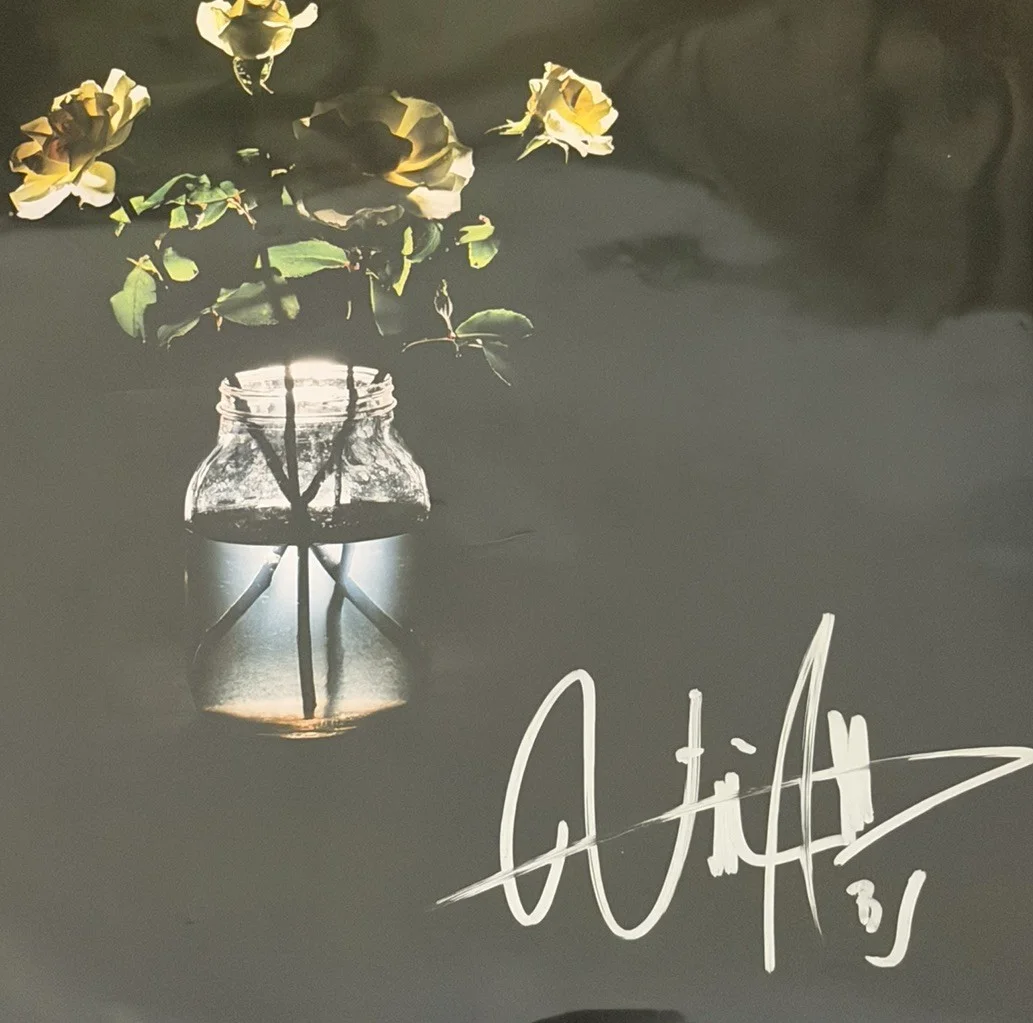 Billy Strings Signed “Renewal” LP Vinyl Album Signed Auto JSA COA Bluegrass, image 3