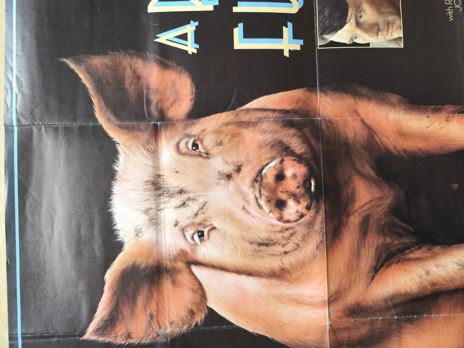 🎯A Private Function (1984) UK Quad – Handmade Films / Palin / Maggie Smith /Pig, image 5