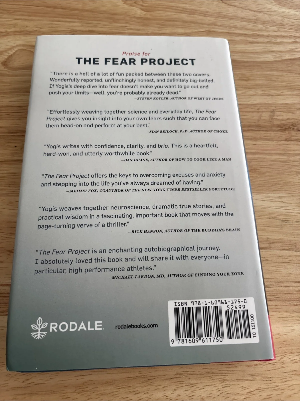 The Fear Project By Jaimal Yogis New, изображение 2