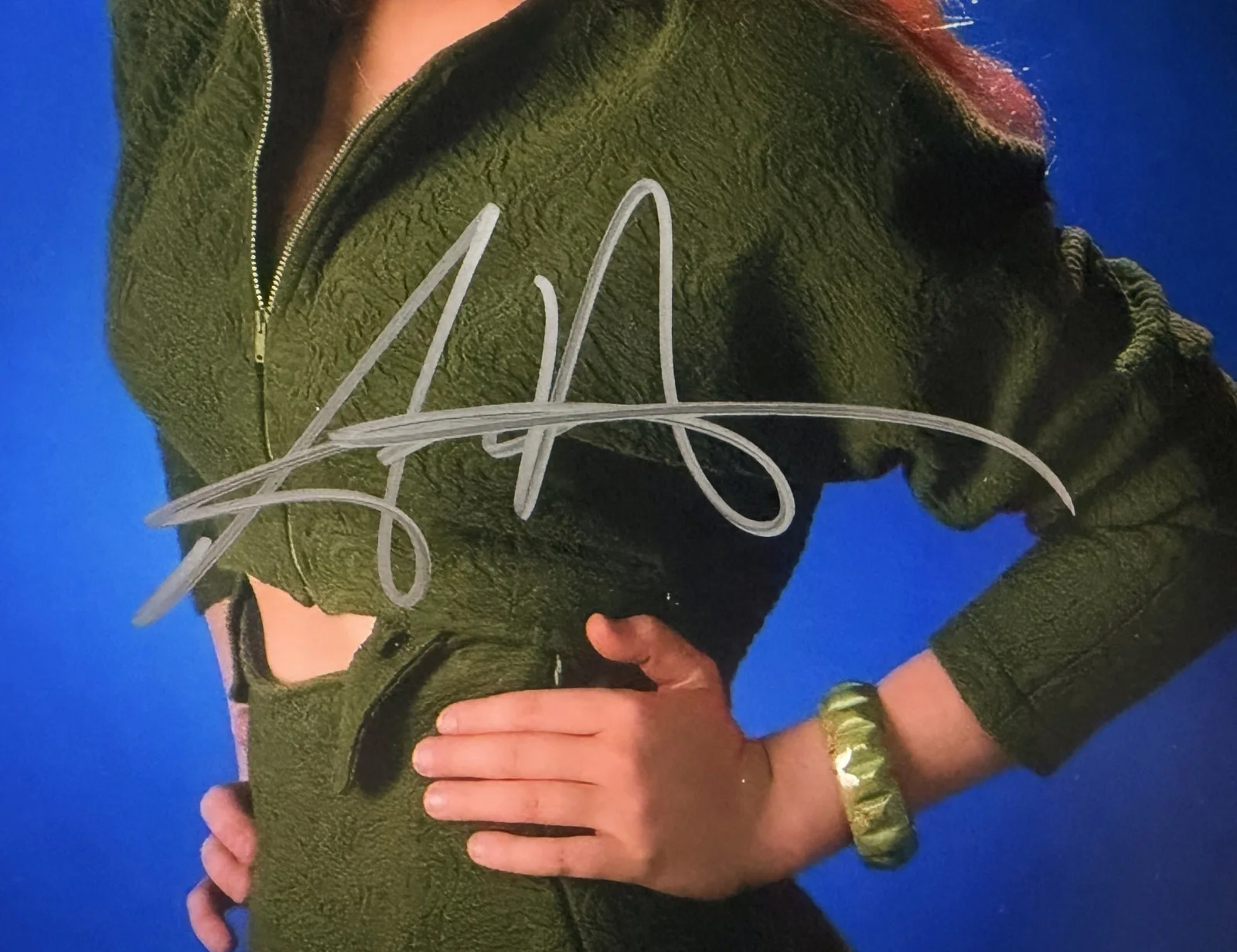 Anne Heche Donnie Brasco signed 8x10 photo read description, изображение 2