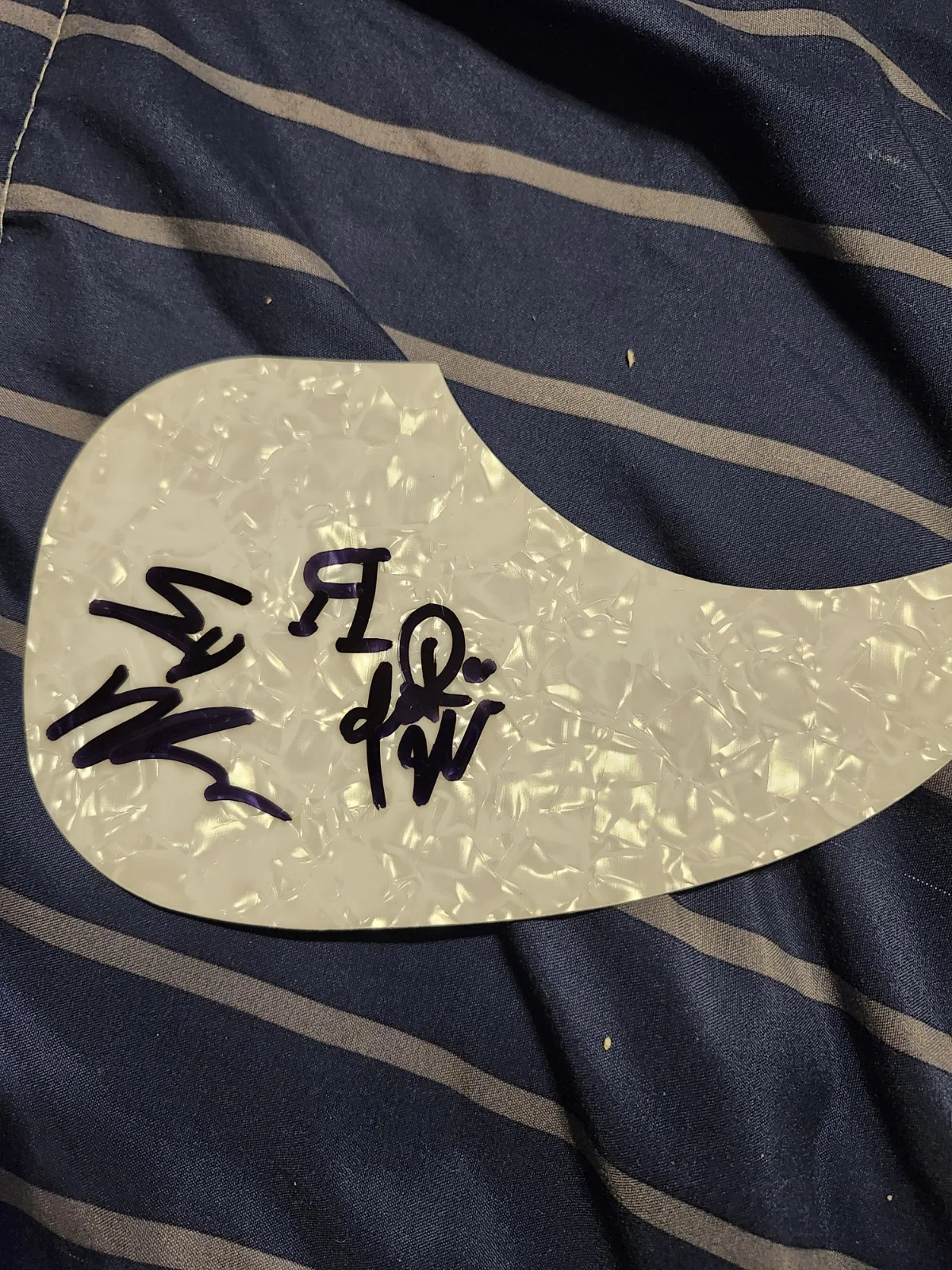 The Reklaws Jenna Stuart Signed autograph Guitar Pickguard COA Psa Guranteed, изображение 2