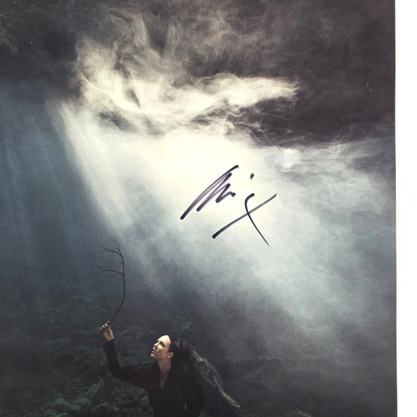 Allie X SIGNED Autographed Cape God 11" x 17" Poster, image 2