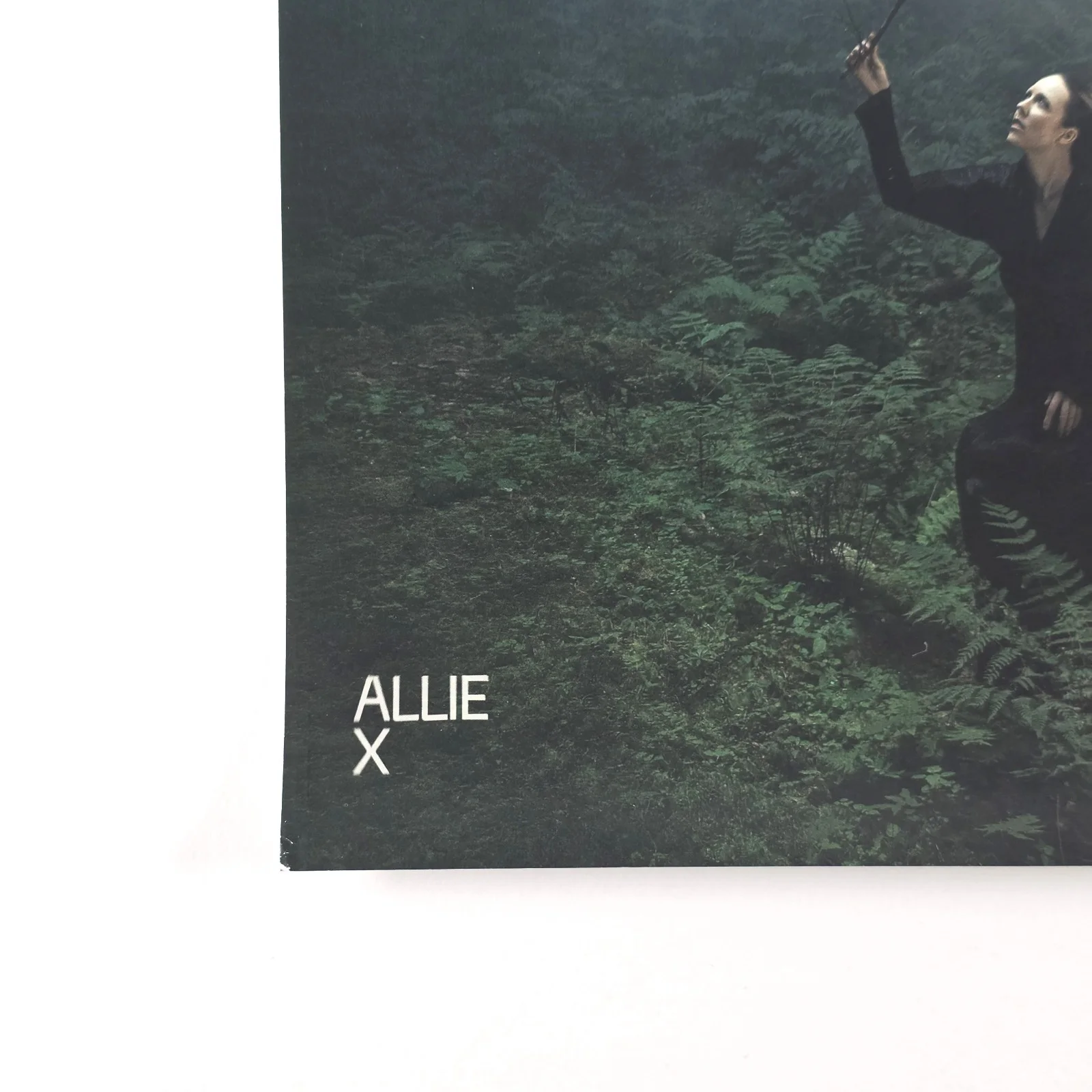 Allie X SIGNED Autographed Cape God 11" x 17" Poster, изображение 2