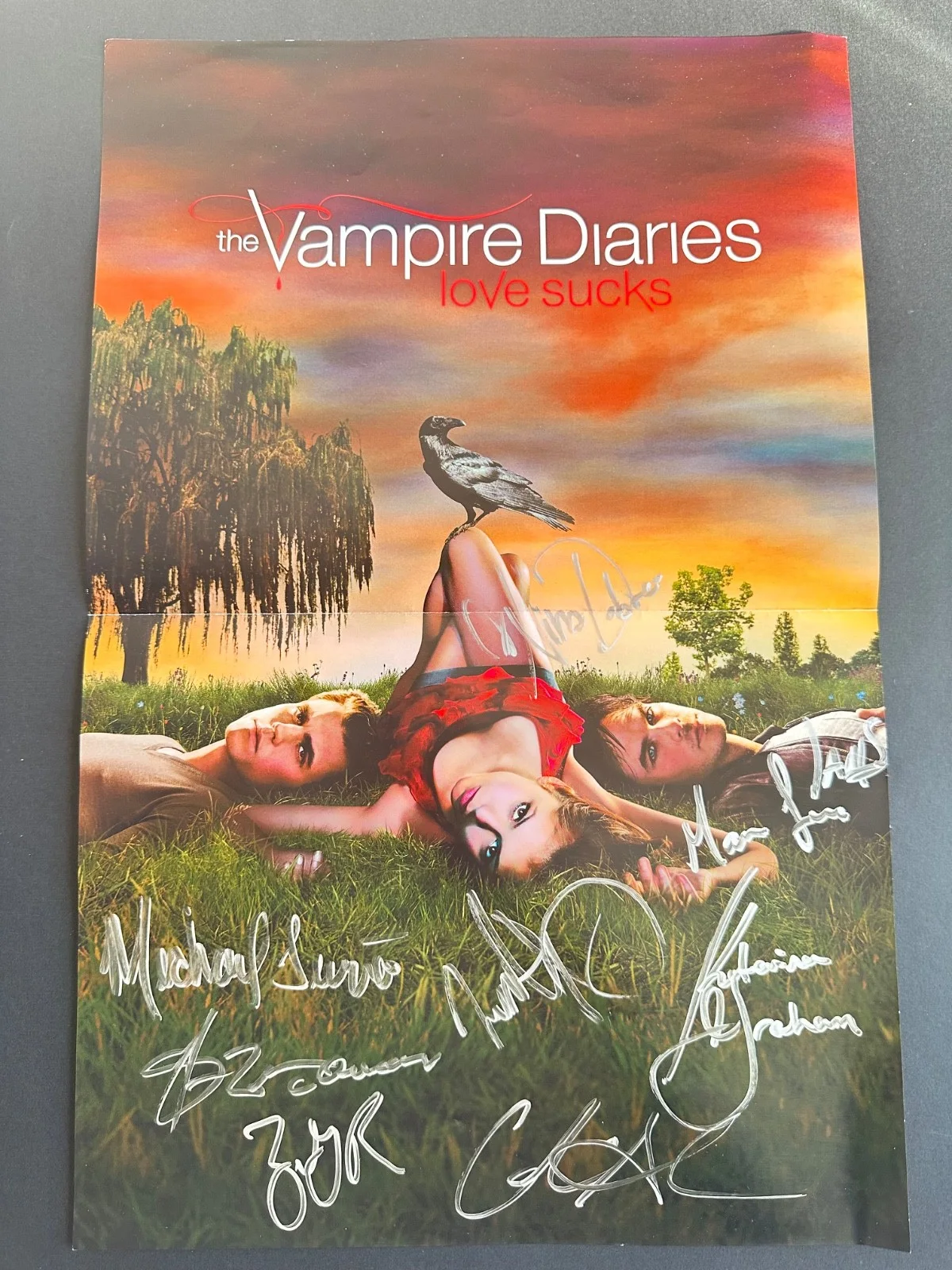 Nina Dobrev Paul Wesley Ian Somerhalder, Graham King Roerig — The Vampire Diaries Autographed Cast Set – Signed Poster & Cast Photo – 6 Main C, изображение 2