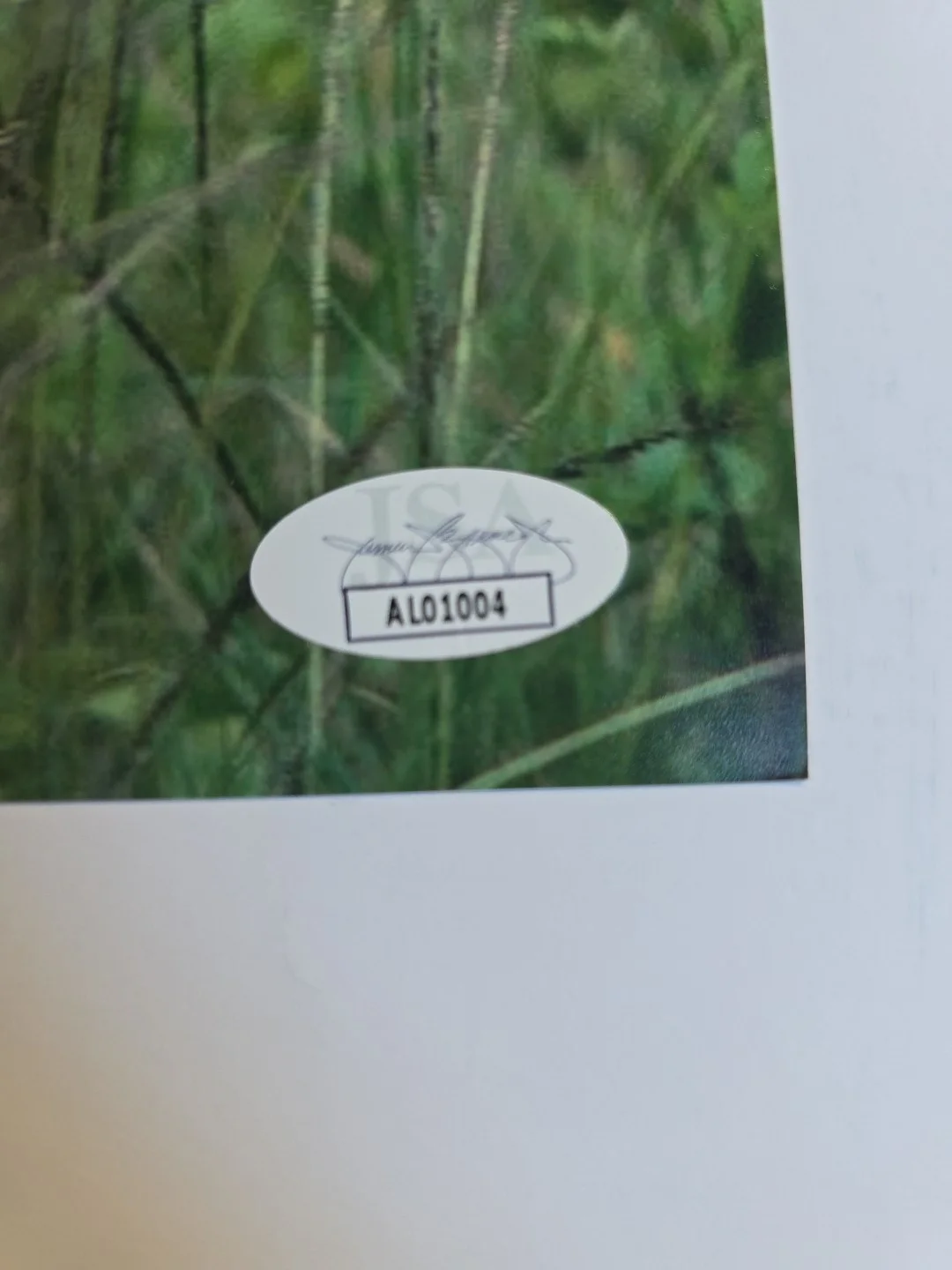 Jane Goodall Primatologist Signed Autographed 8X10 Photo COA JSA #AL01004, изображение 2