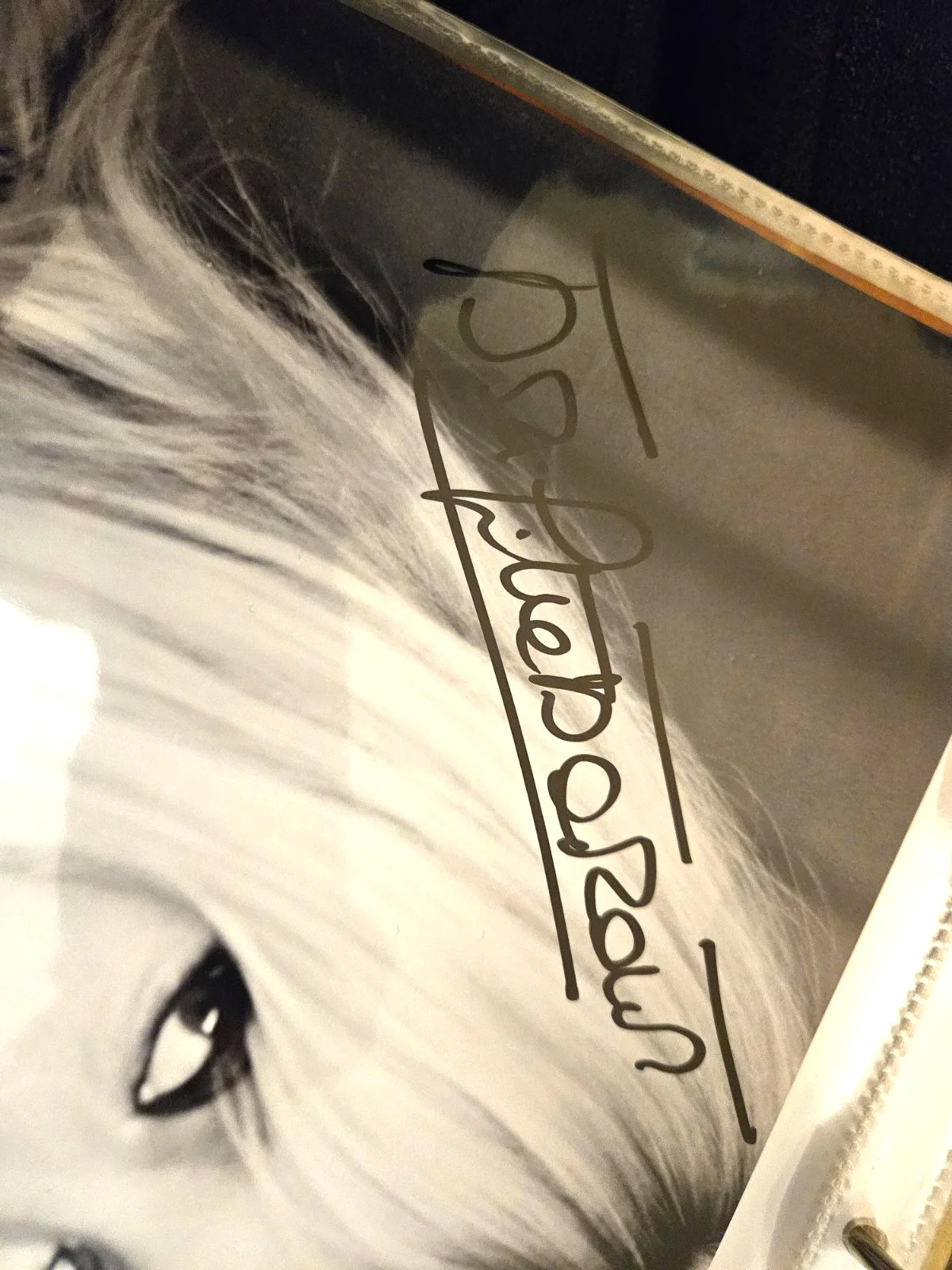 Brigitte Bardot — Brigitte Bardot Signed Photo 8x10, image 2