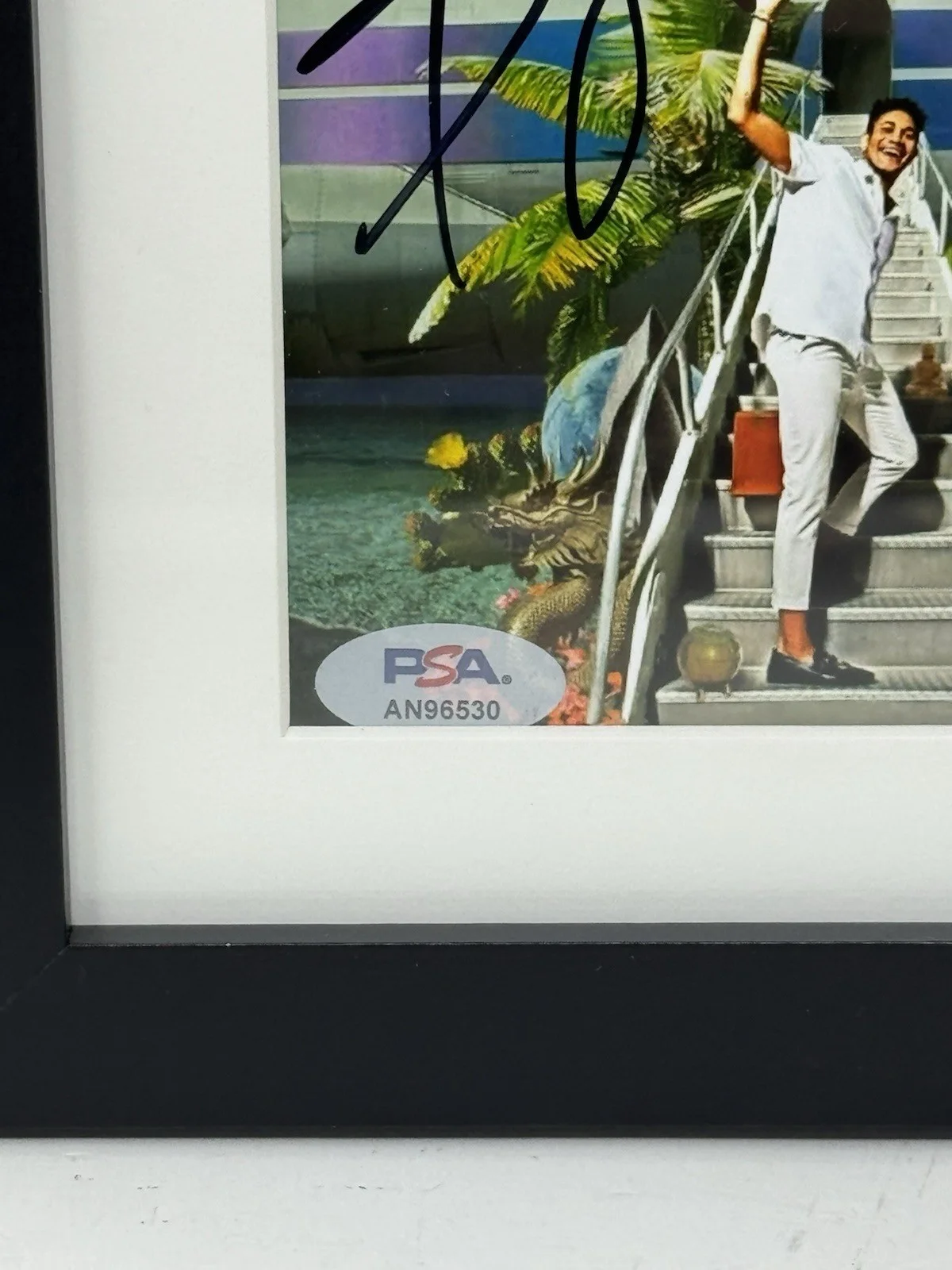 BRYCE VINE SIGNED AUTOGRAPH FRAMED CARNIVAL CD PSA COA LA LA LAND DREW BARRYMORE, изображение 3