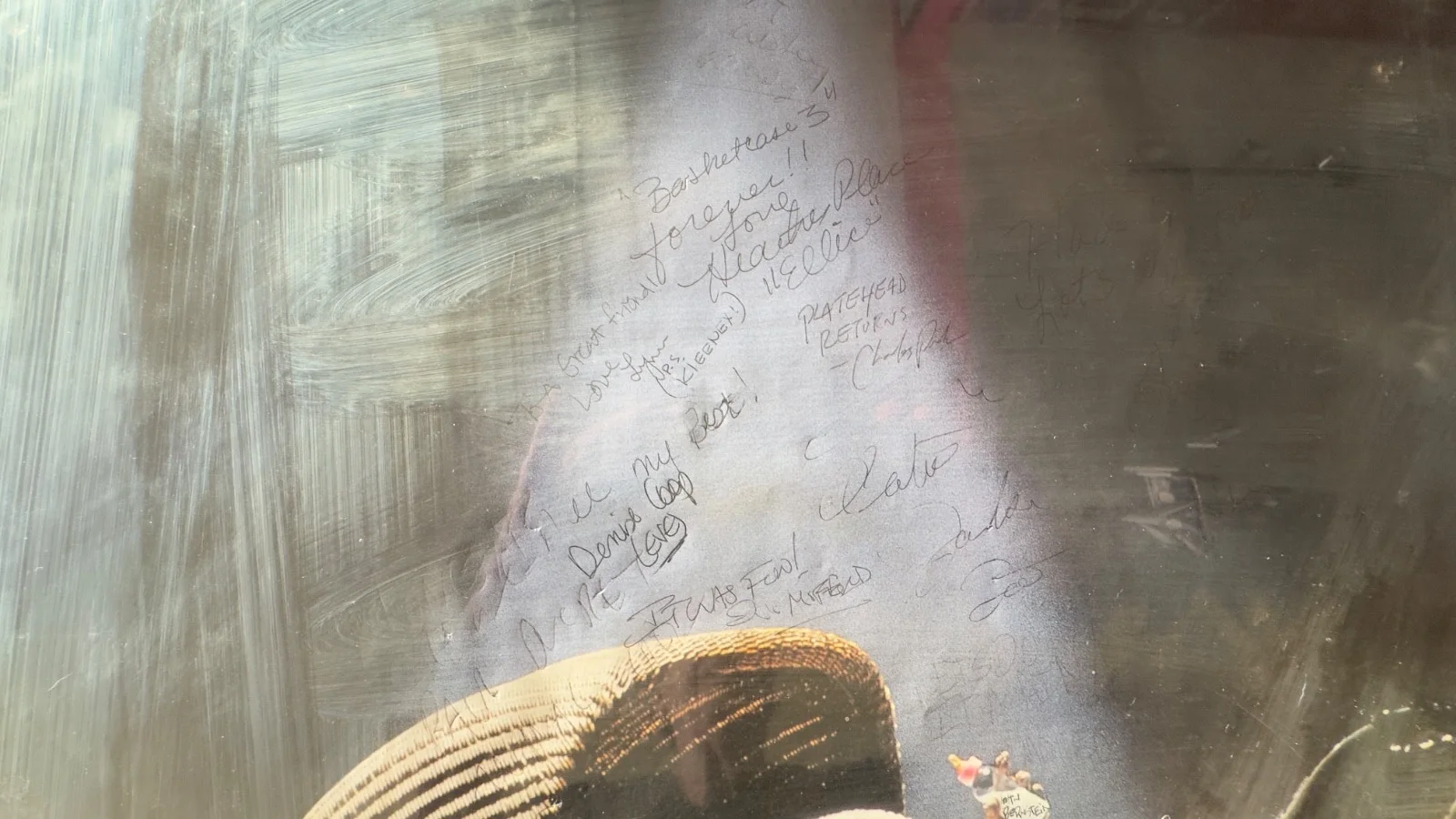 BASKETCASE 3 Movie Poster signed by cast & crew, изображение 2