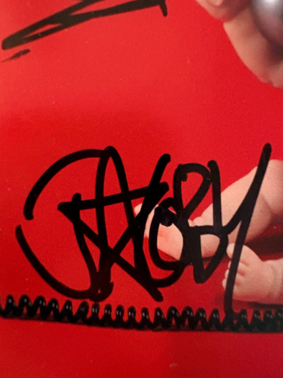 Papa Roach – Lovehatetragedy (2002) CD SIGNED by Full Band – Autographed Booklet, image 5