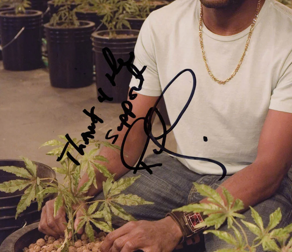 ROMANY MALCO — Romany Malco signed "WEEDS" 8x10 Photo AUTOGRAPHED Conrad Inscription ACOA COA, image 4