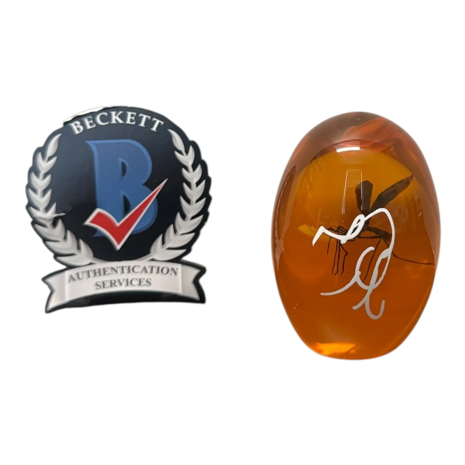 Jeff Goldblum — Jeff Goldblum Signed Autograph Jurassic Park Jurassic Era Mosquito In Amber BAS