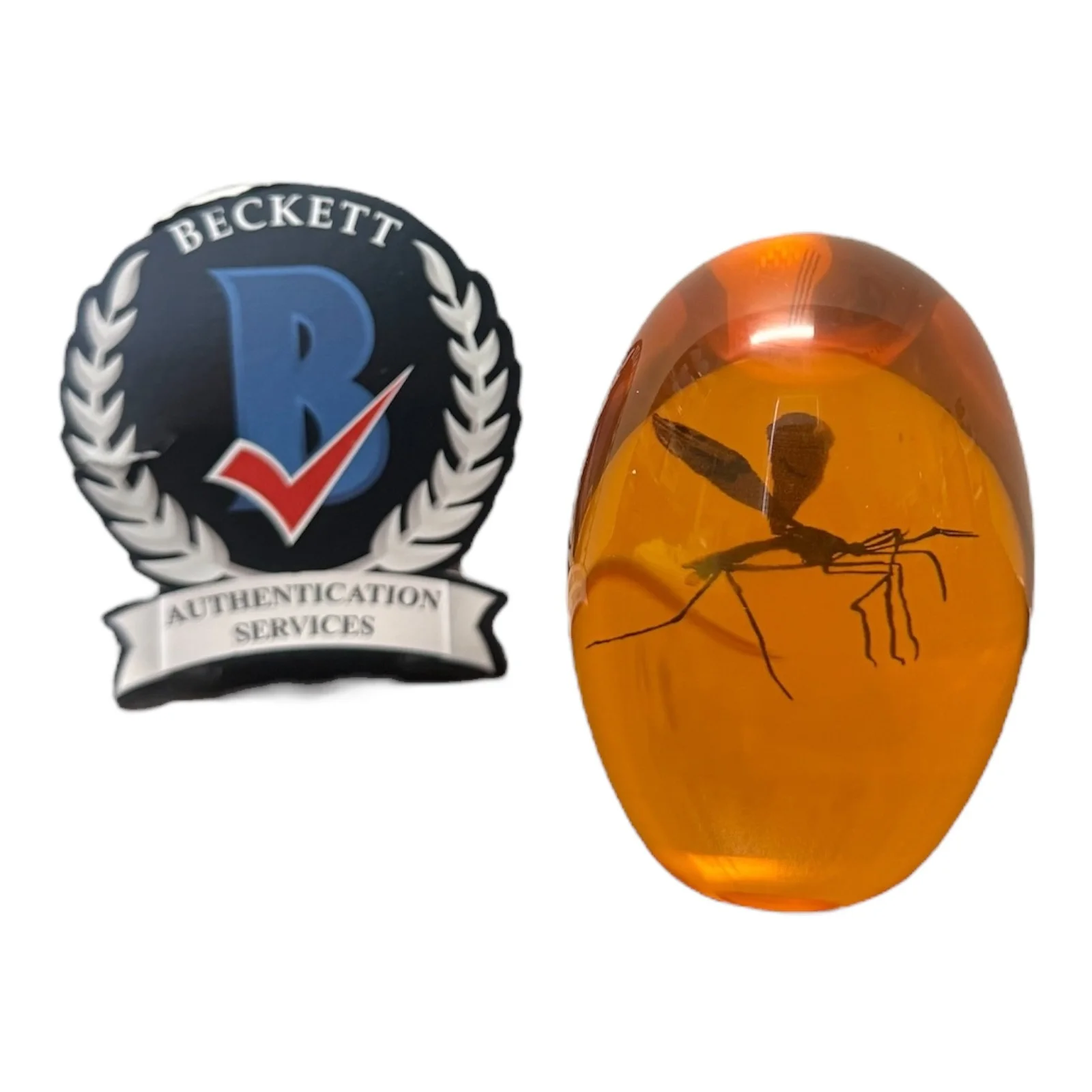 Jeff Goldblum — Jeff Goldblum Signed Autograph Jurassic Park Jurassic Era Mosquito In Amber BAS, изображение 3