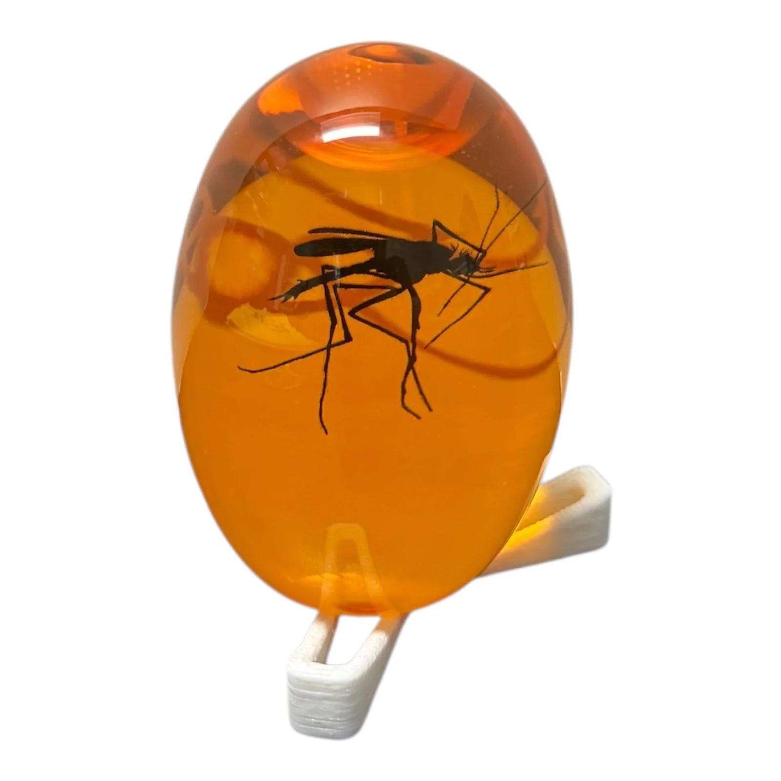 Jeff Goldblum — Jeff Goldblum Signed Autogragh Jurassic World Jurassic Mosquito Paper Weight BAS, image 2